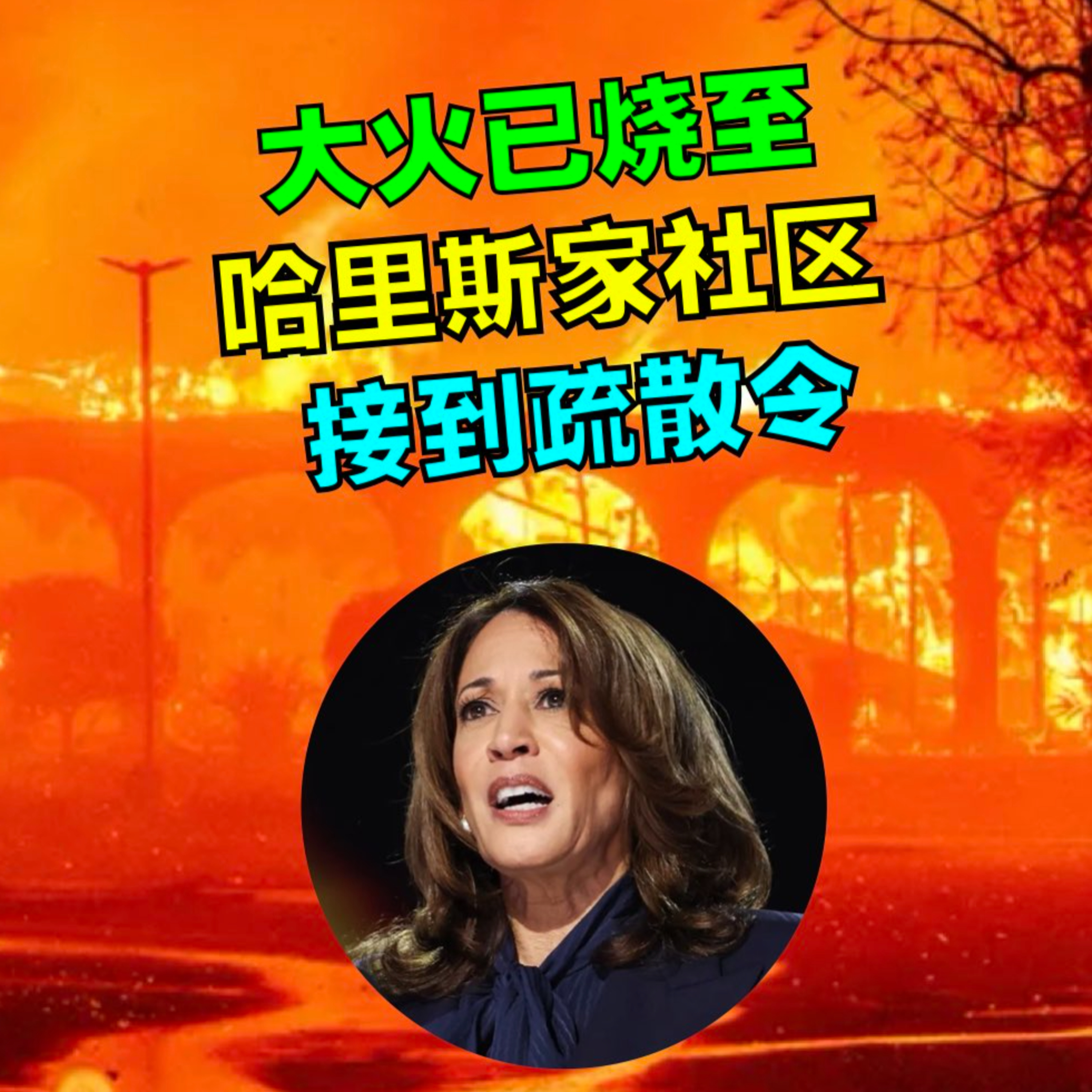 洛杉矶大火已烧至哈里斯家社区，副总统接到疏散令 episode artwork