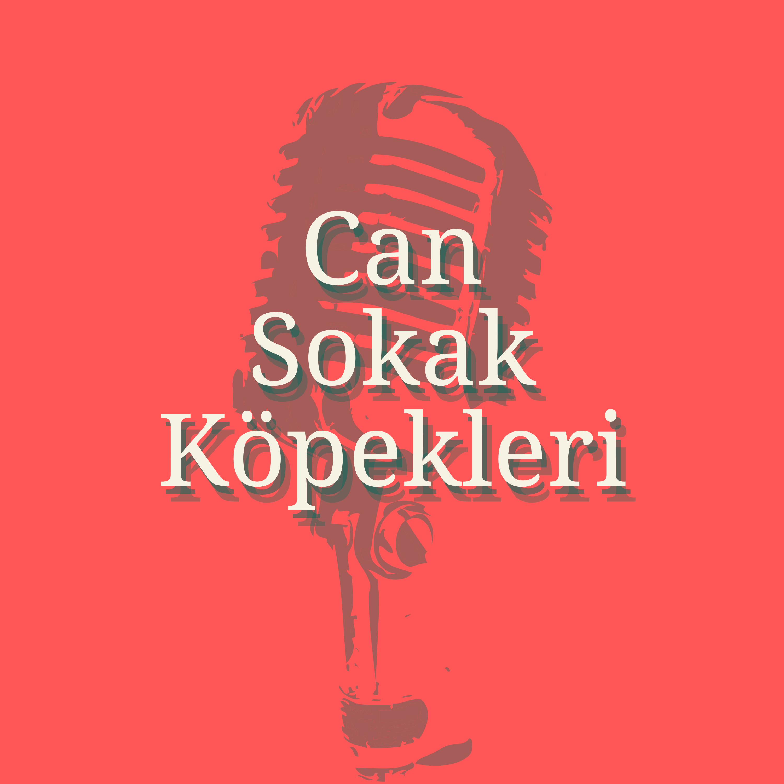 Agzimiz var konusuyoruz
