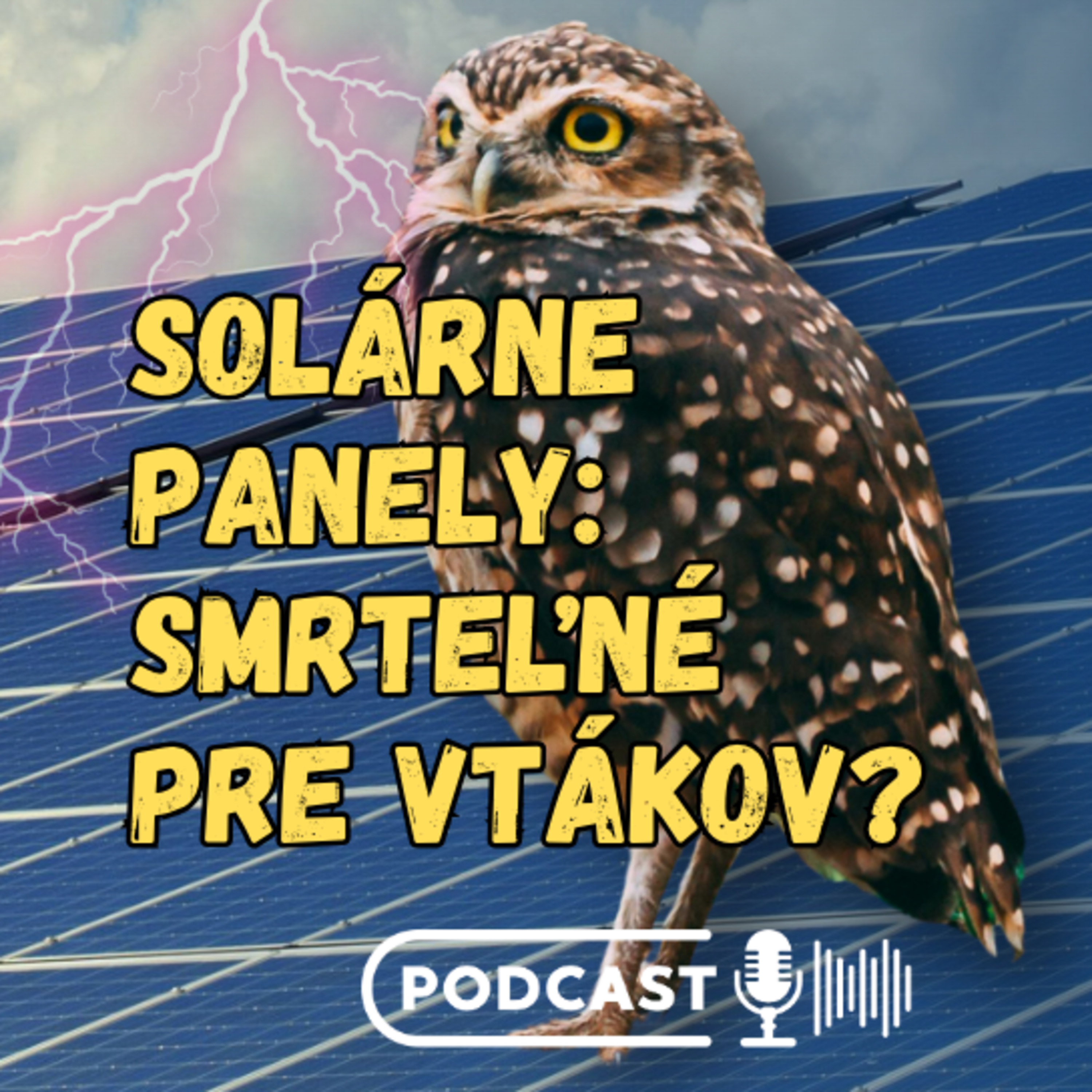 Solárne elektrárne zabijú 10 vtákov za rok na 1 MW. Ako je to s inými zdrojmi energie? episode artwork