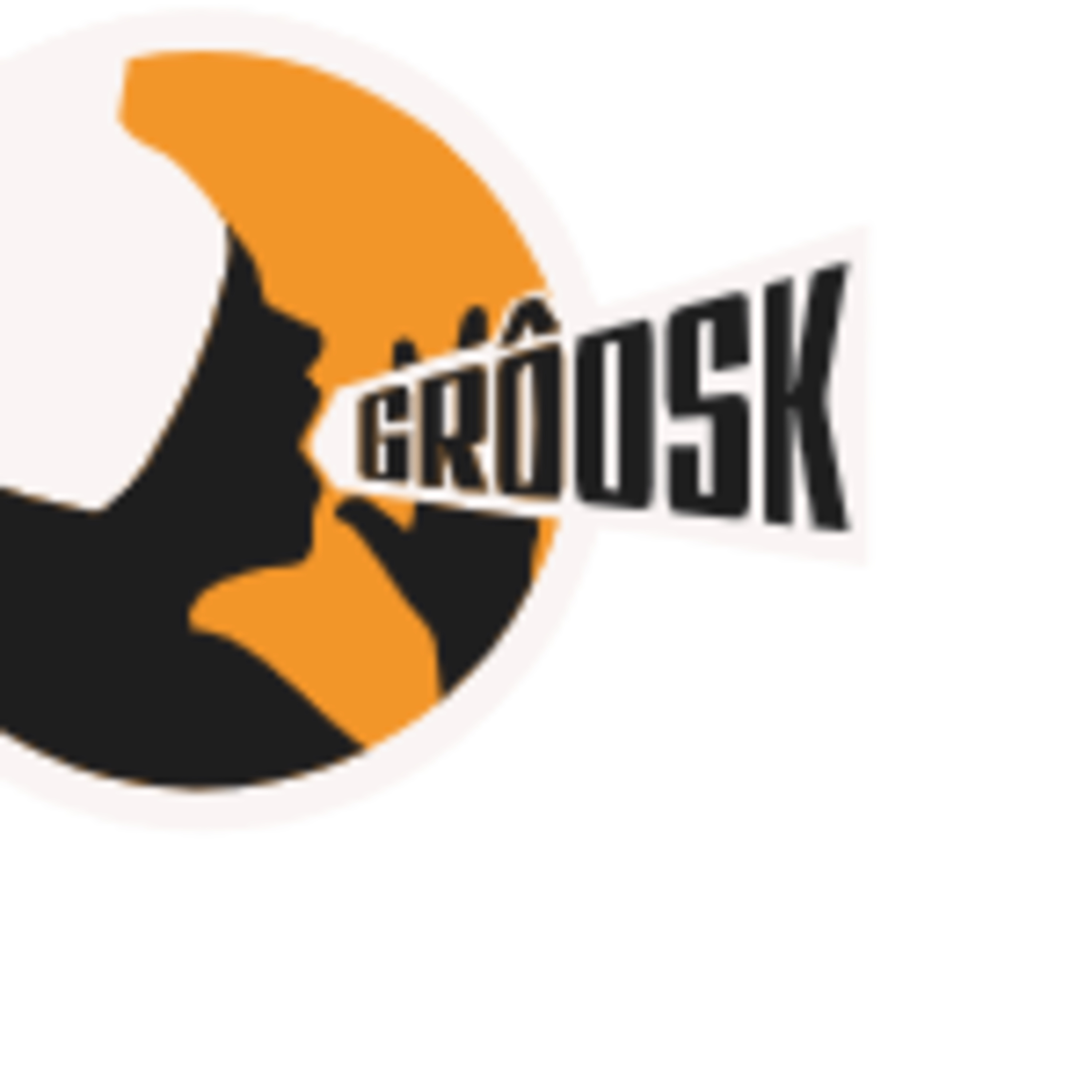 Grôsk òp ûis Vòlledams