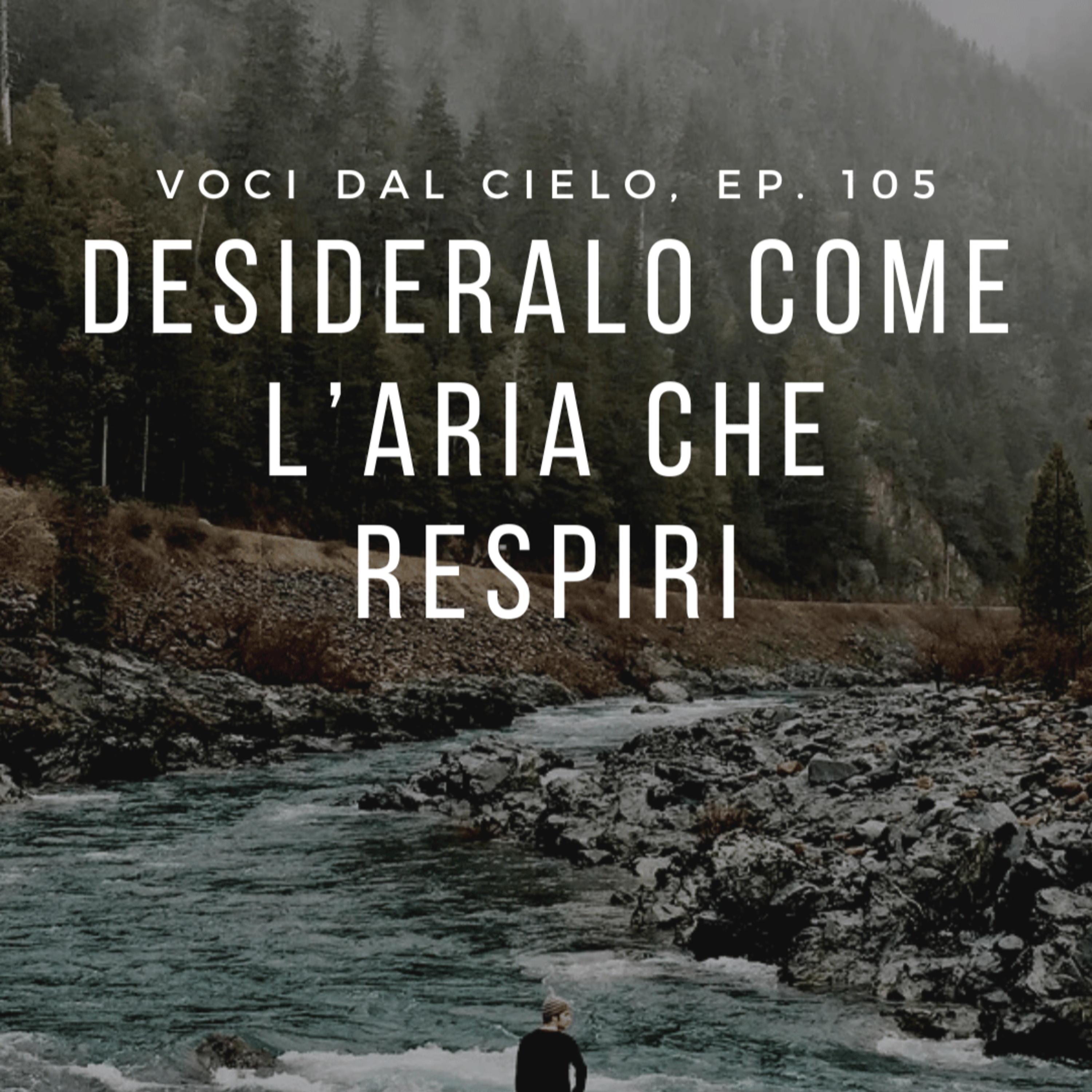 Voci dal cielo, ep#105: Dagli Apoftegmi dei padri del deserto episode artwork