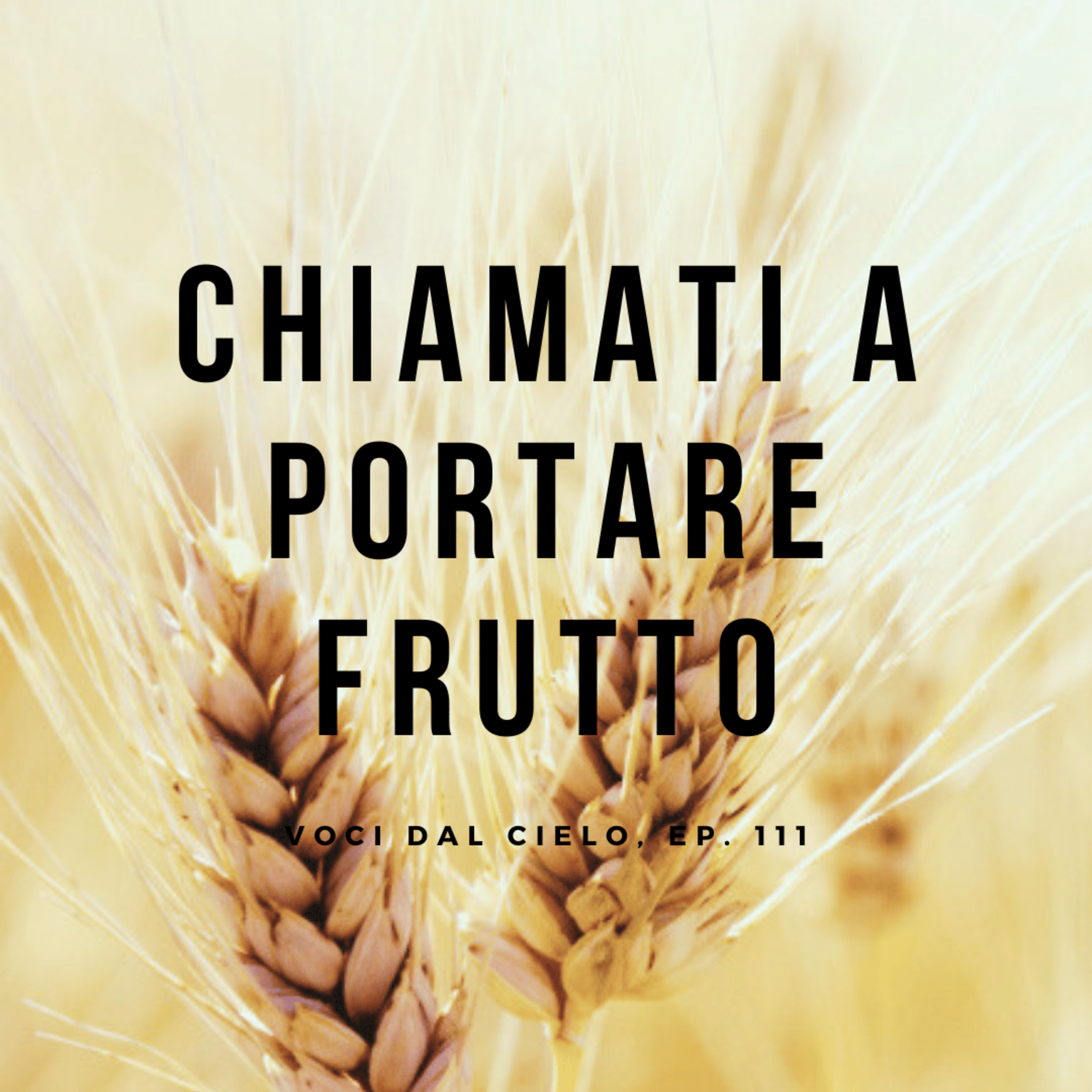 Voci dal cielo, ep#111: Libellus de initio Ordinis Fratrum Predicatorum episode artwork