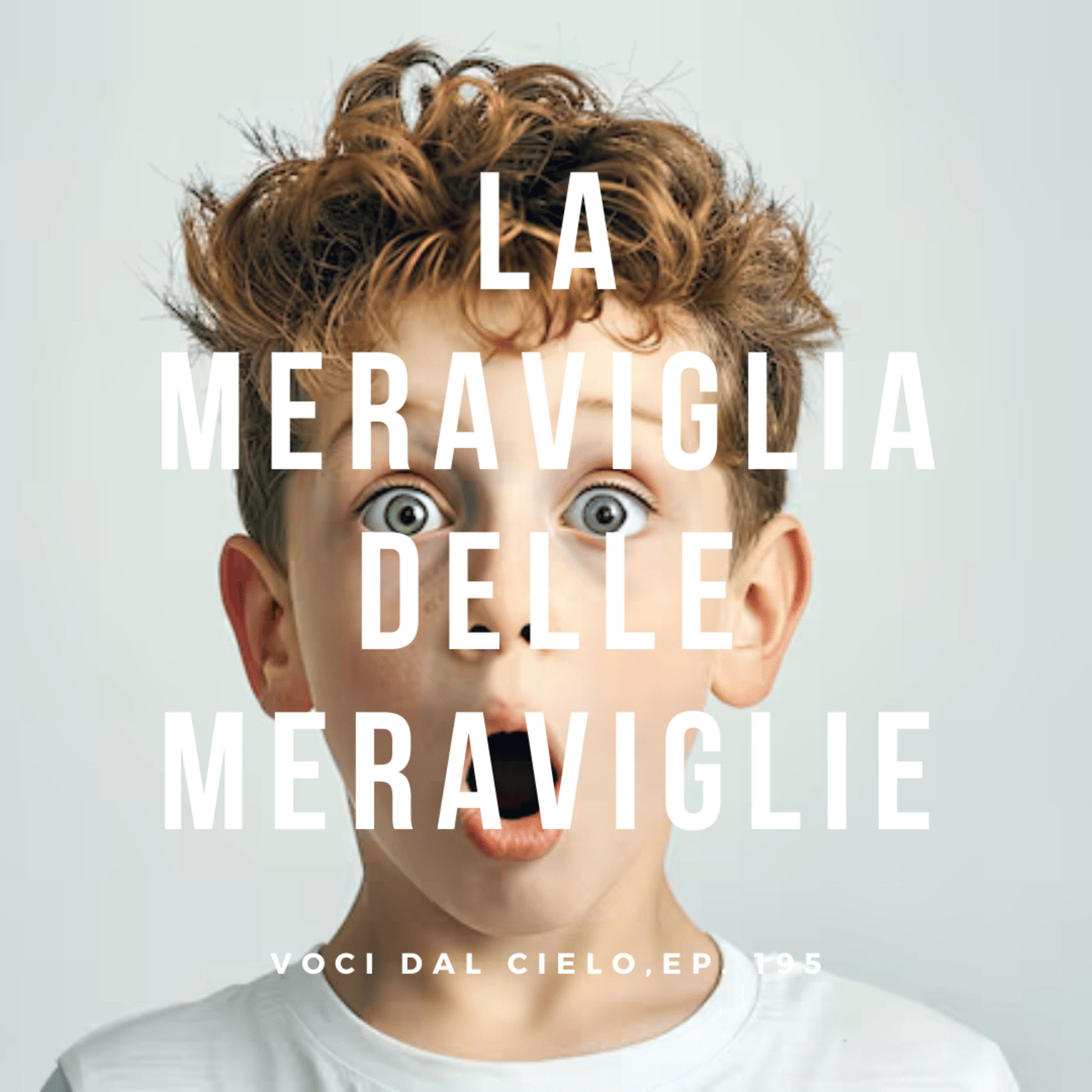 Voci dal cielo, ep#195: La meraviglia delle meraviglie episode artwork