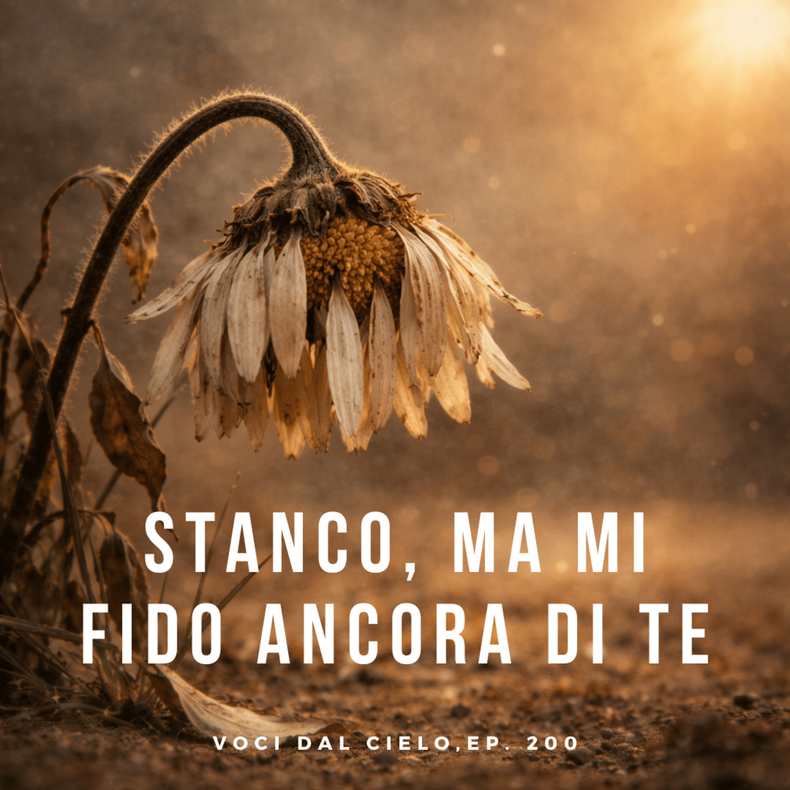 Voci dal cielo, ep#200: isaia 40:29 episode artwork