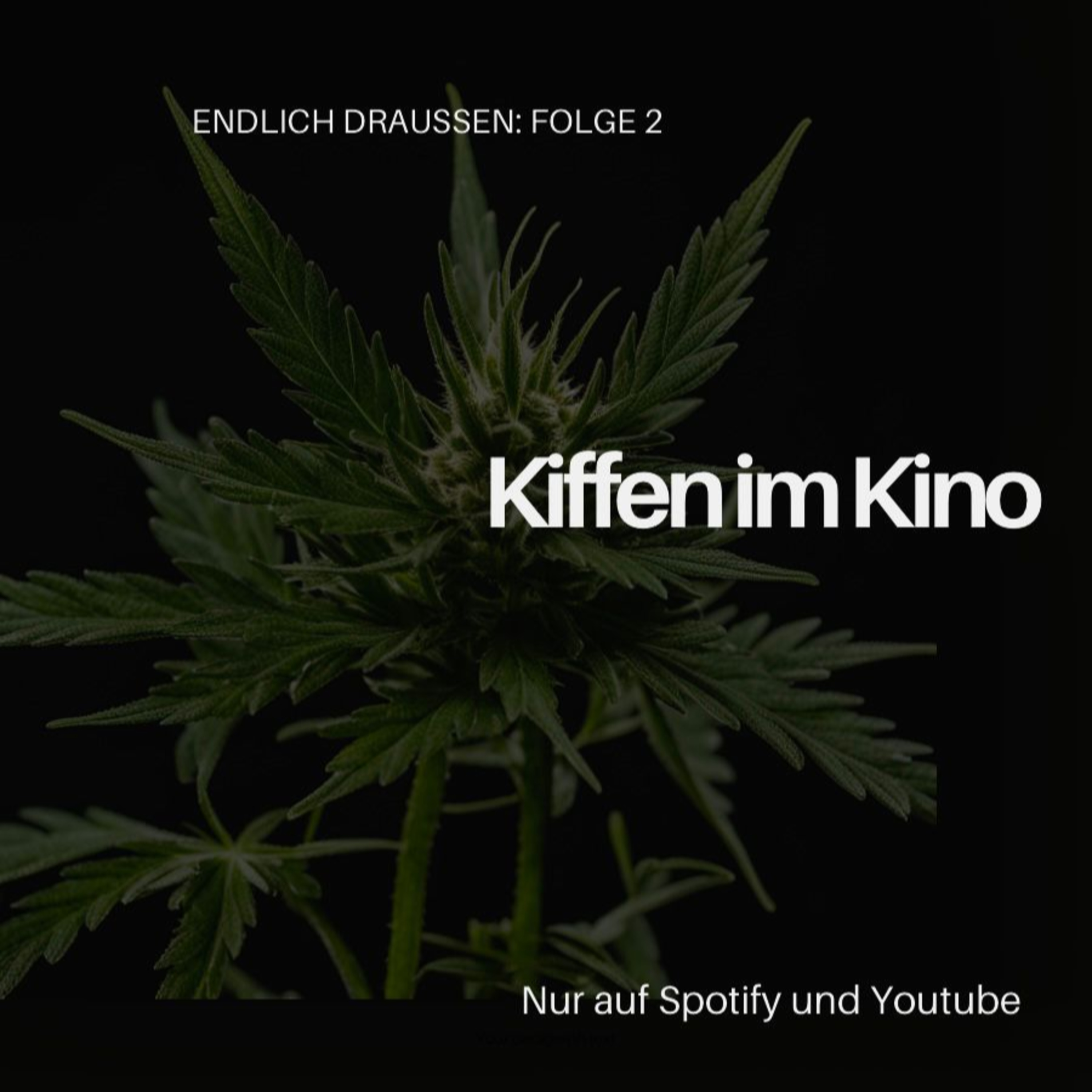 Kern und Böhm reden über Musik