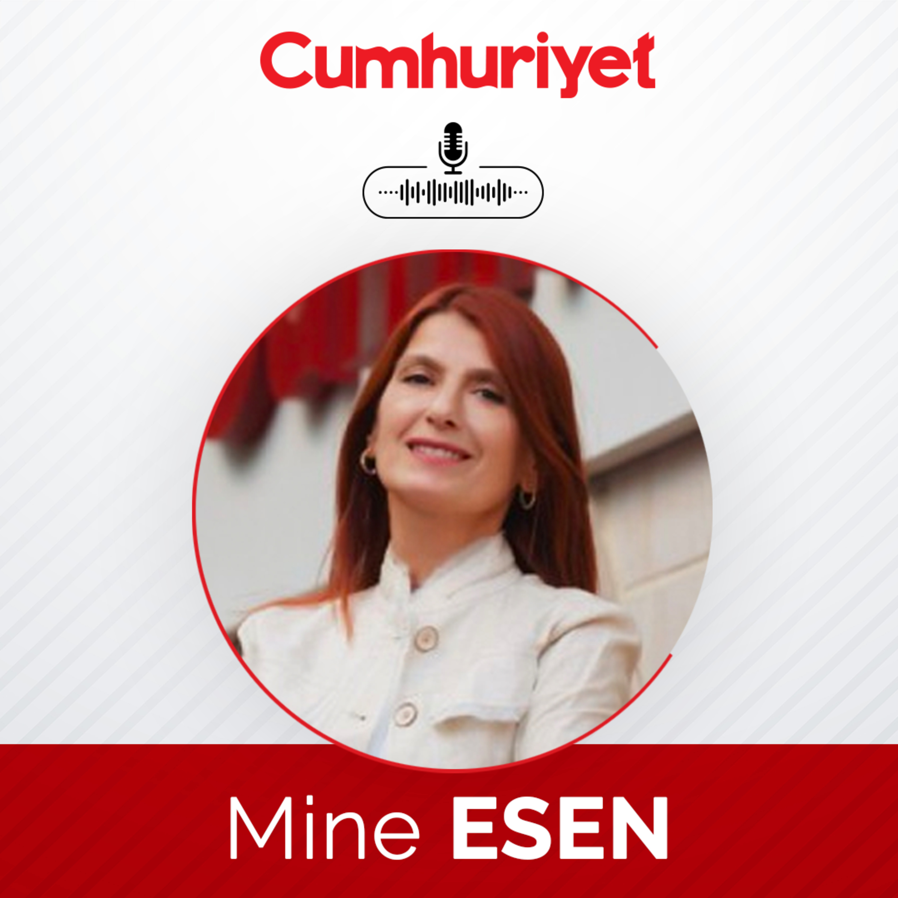 Savunma stratejisi, demokrasi ve diplomasi... - Mine Esen episode artwork