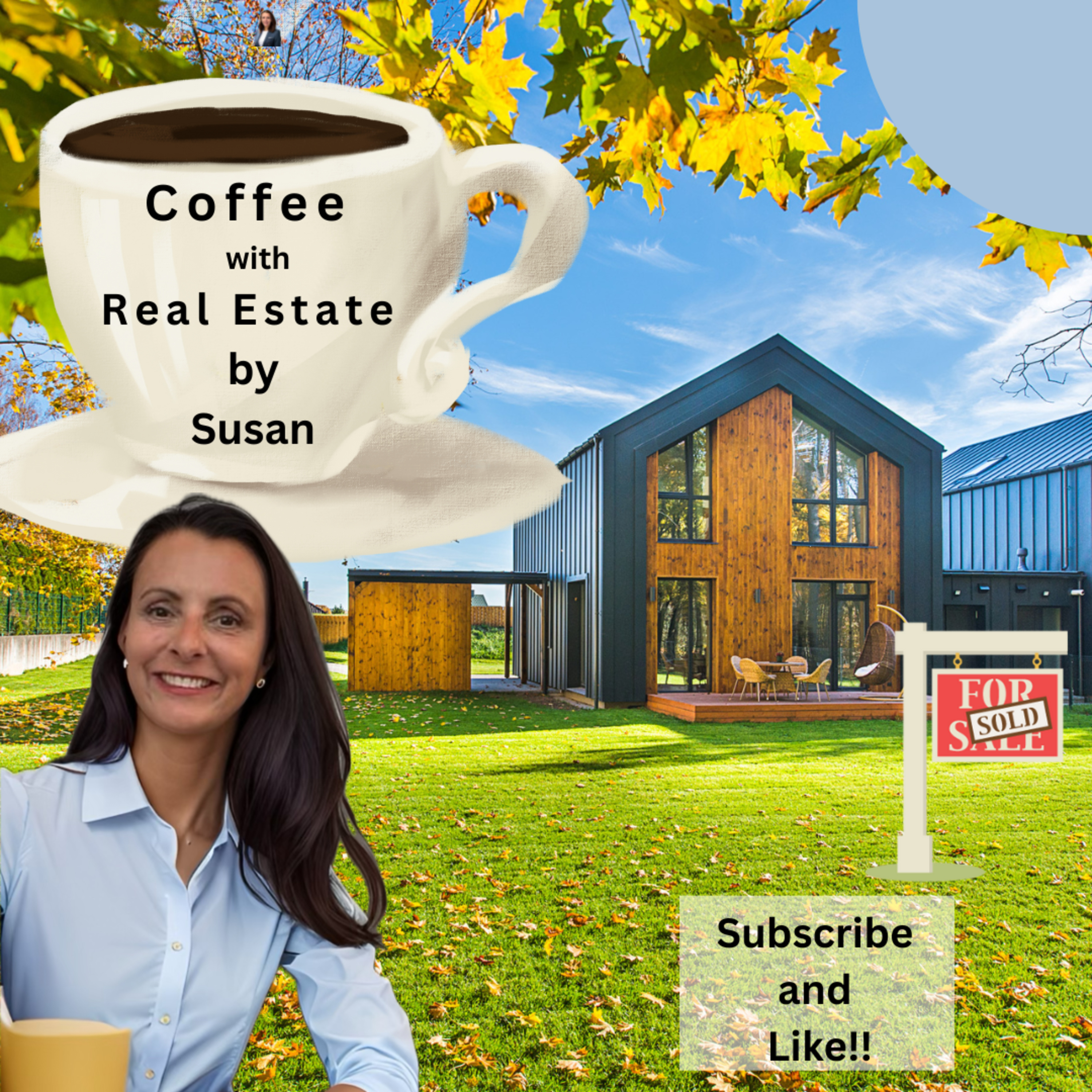 How to afford more house, Gap between income and house prices, Hot pool solutions episode artwork
