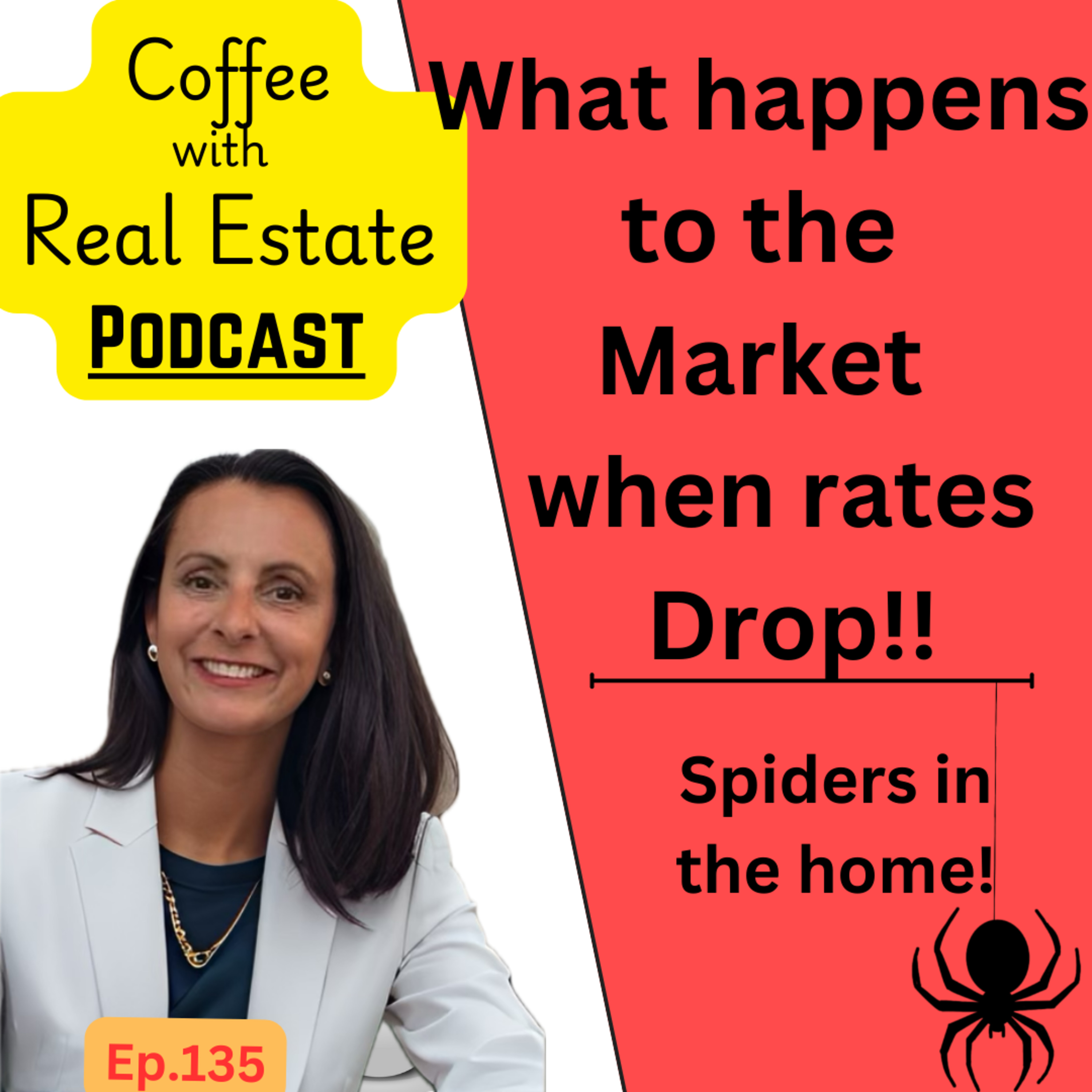 Rate drop effects on the housing market, Eliminate spiders in the home  episode artwork