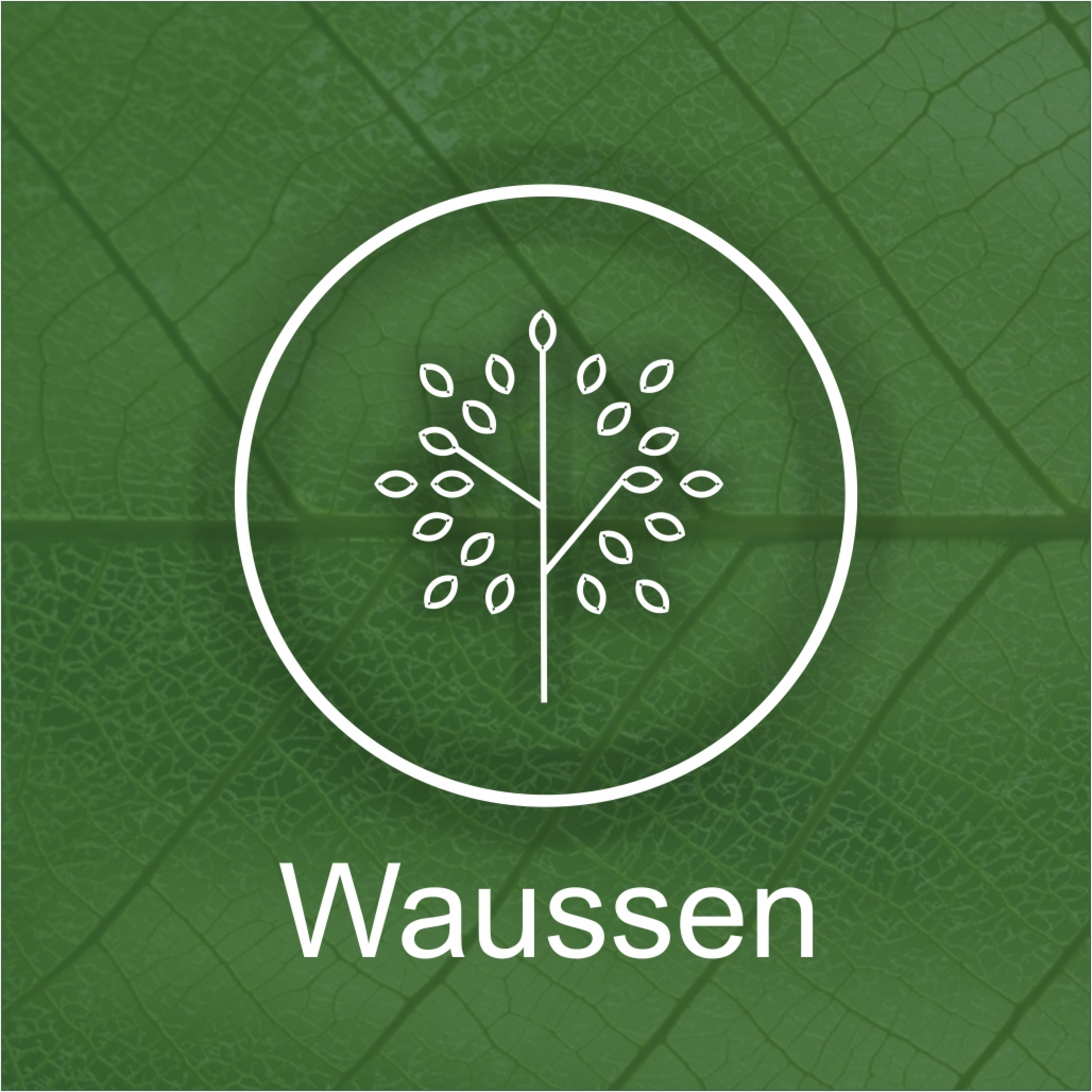 Vewaulta | Waussen | Poat 7 episode artwork