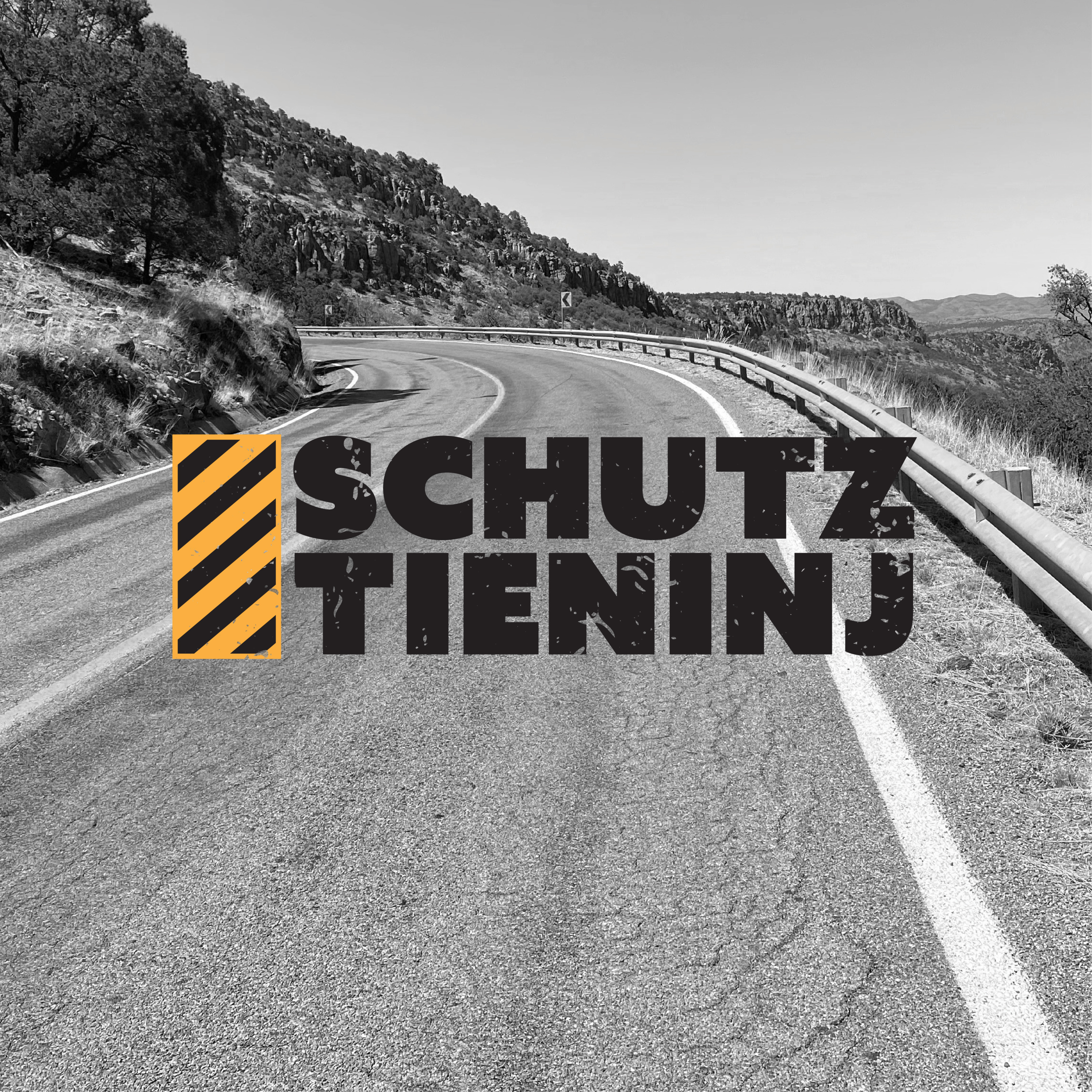 Ran Wajch | Schutz Tieninj | Poat 2 episode artwork