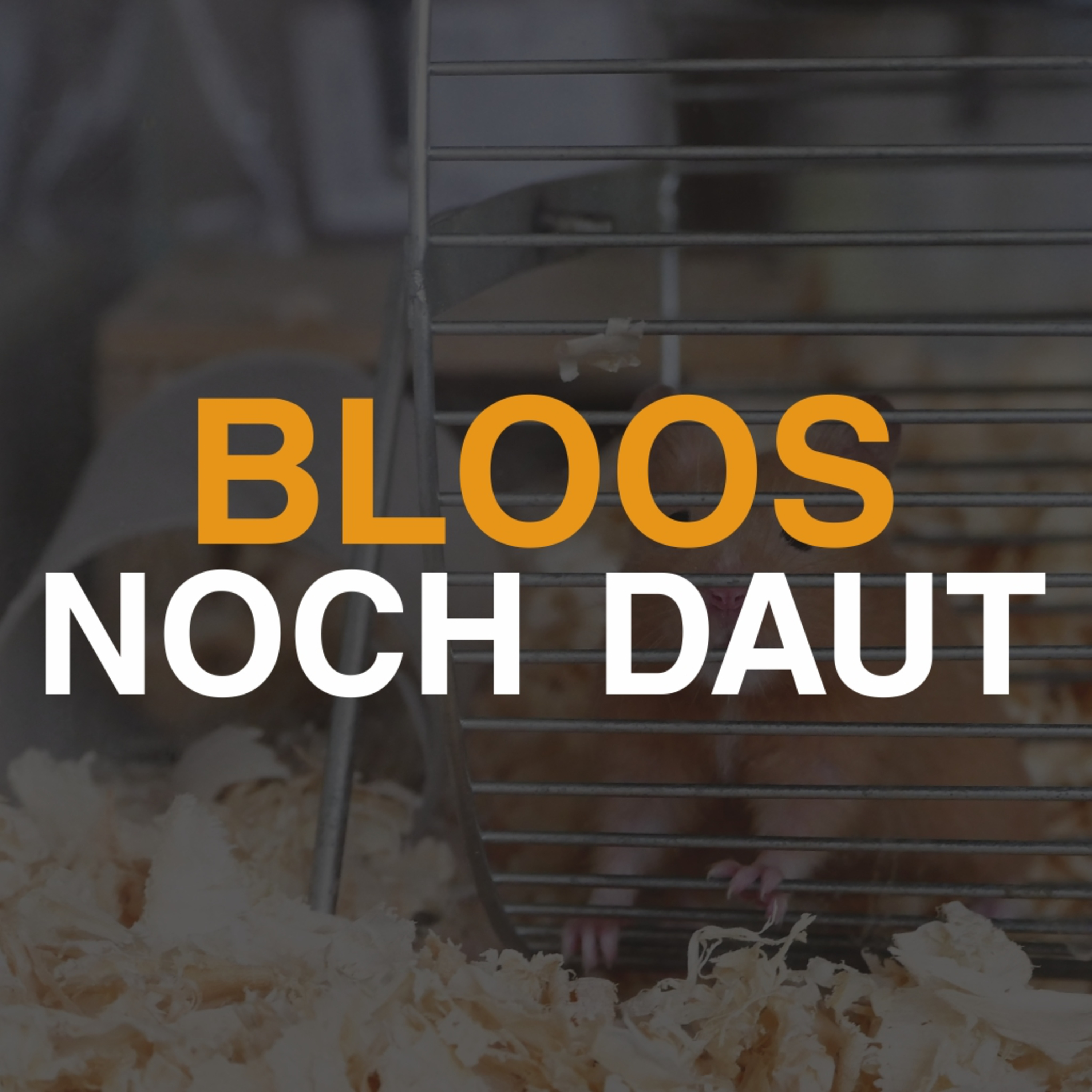 Volkomenheit | Bloos noch daut | Poat 1 episode artwork