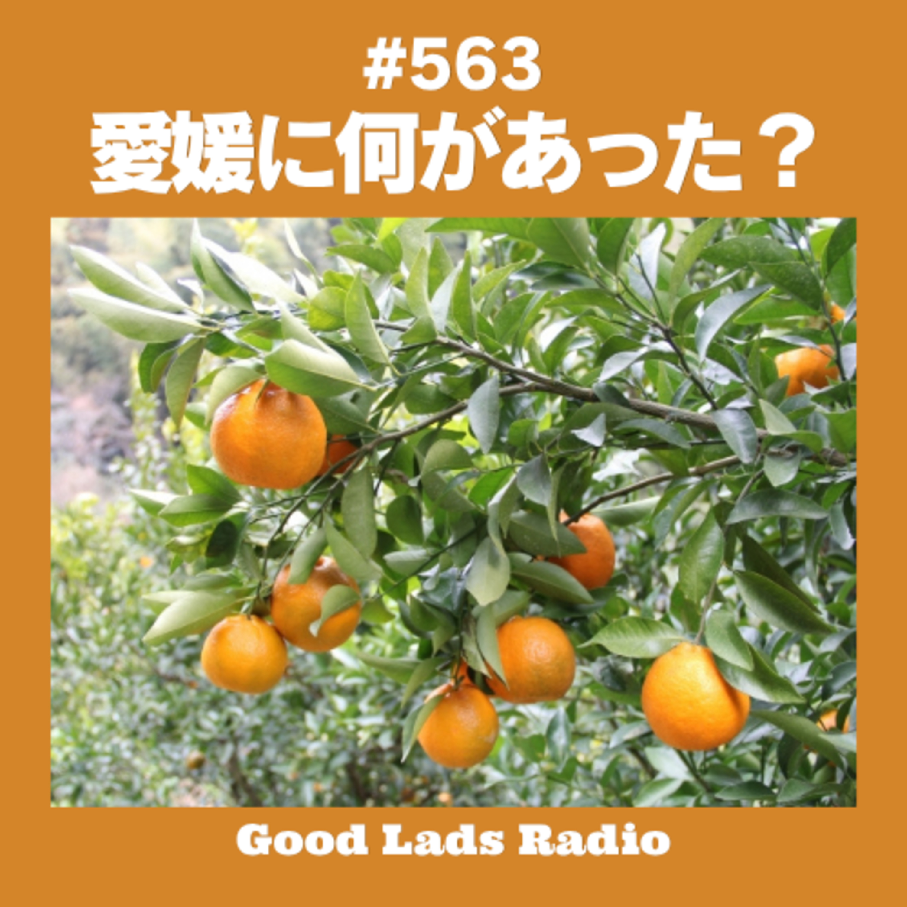 #563 愛媛FCになにが？ episode artwork