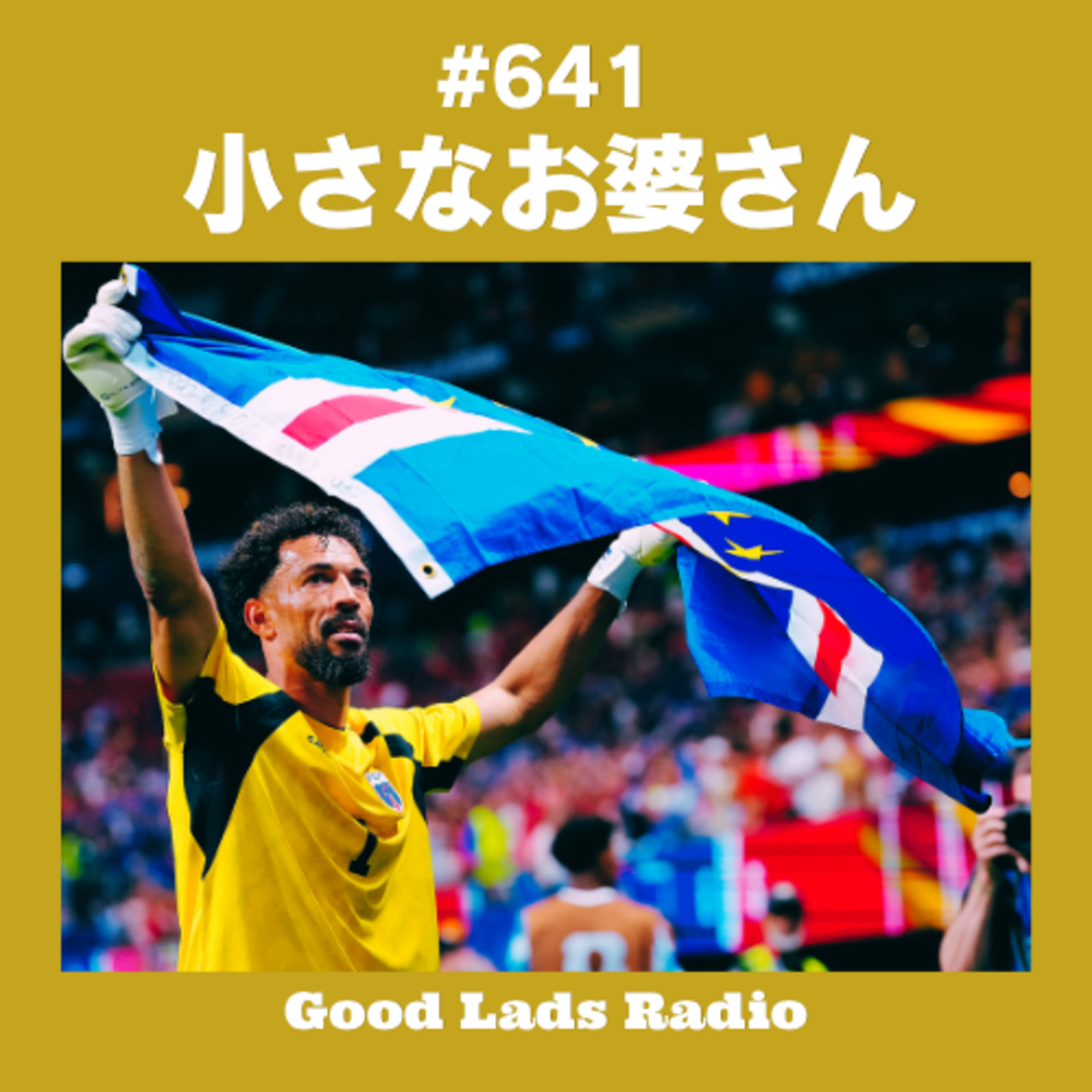 #641 「愛称」を登録名に使う選手たち。ヴォジーニャ＝小さなお婆さん episode artwork