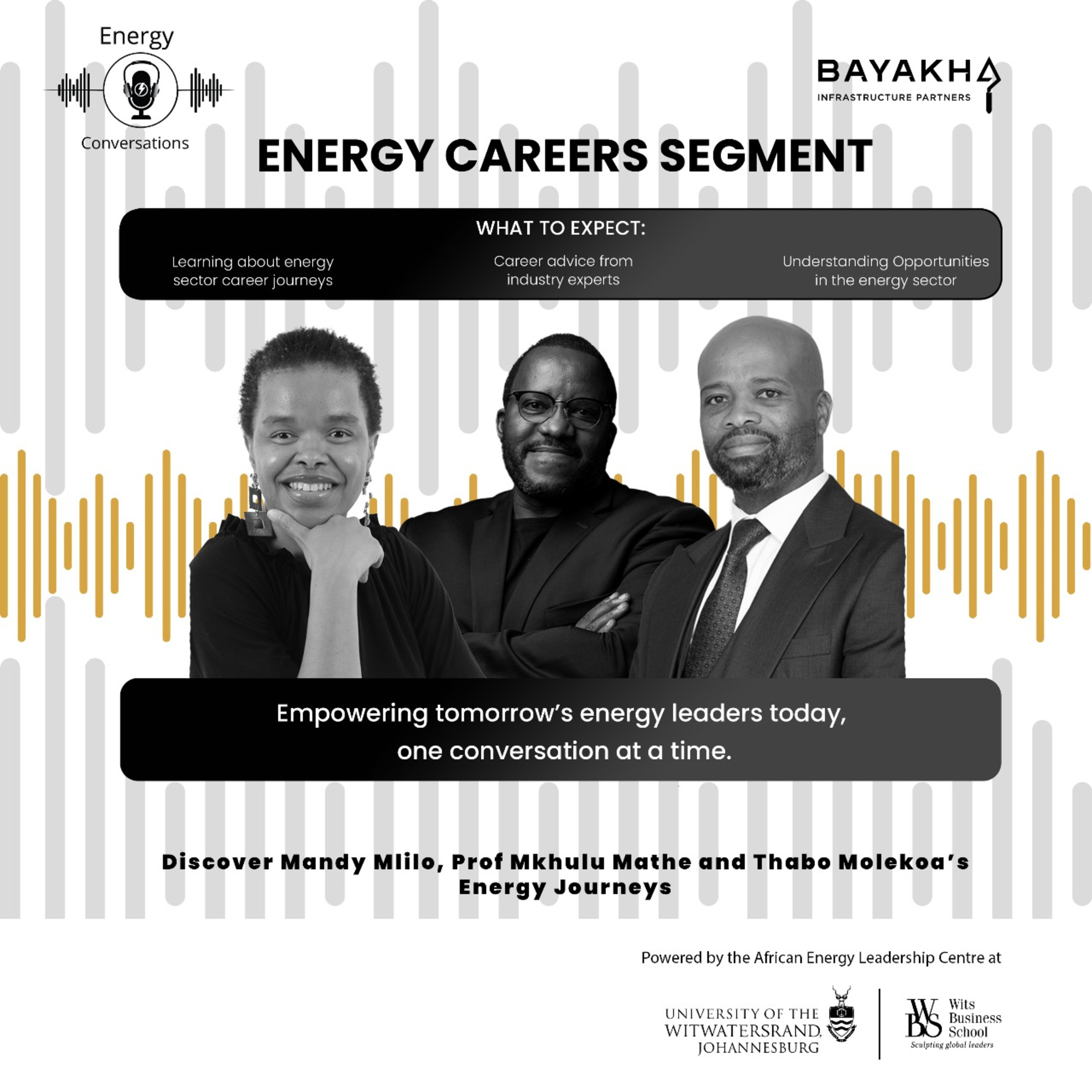 Energy Conversations Podcast