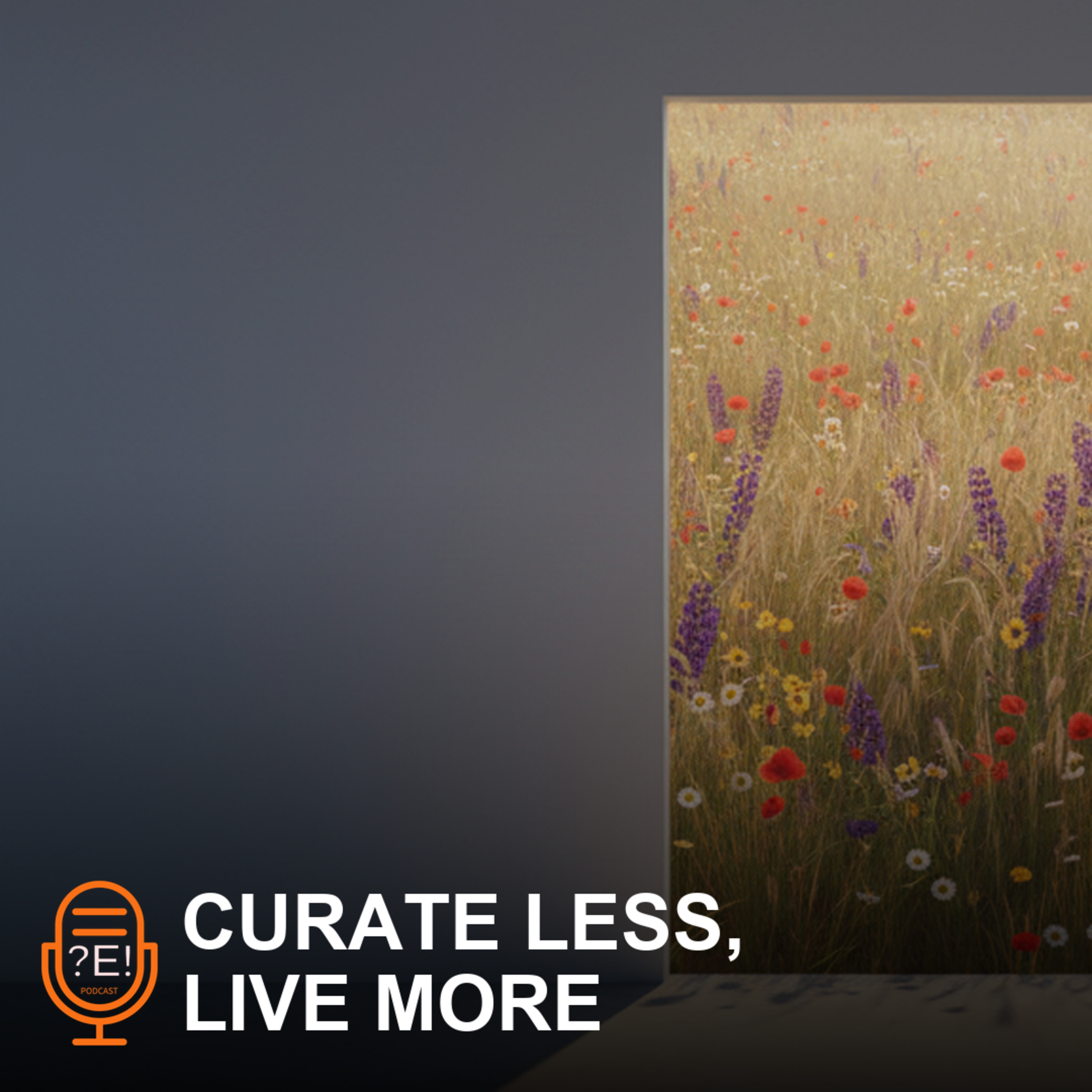 Question Everything (Except This Podcast!)