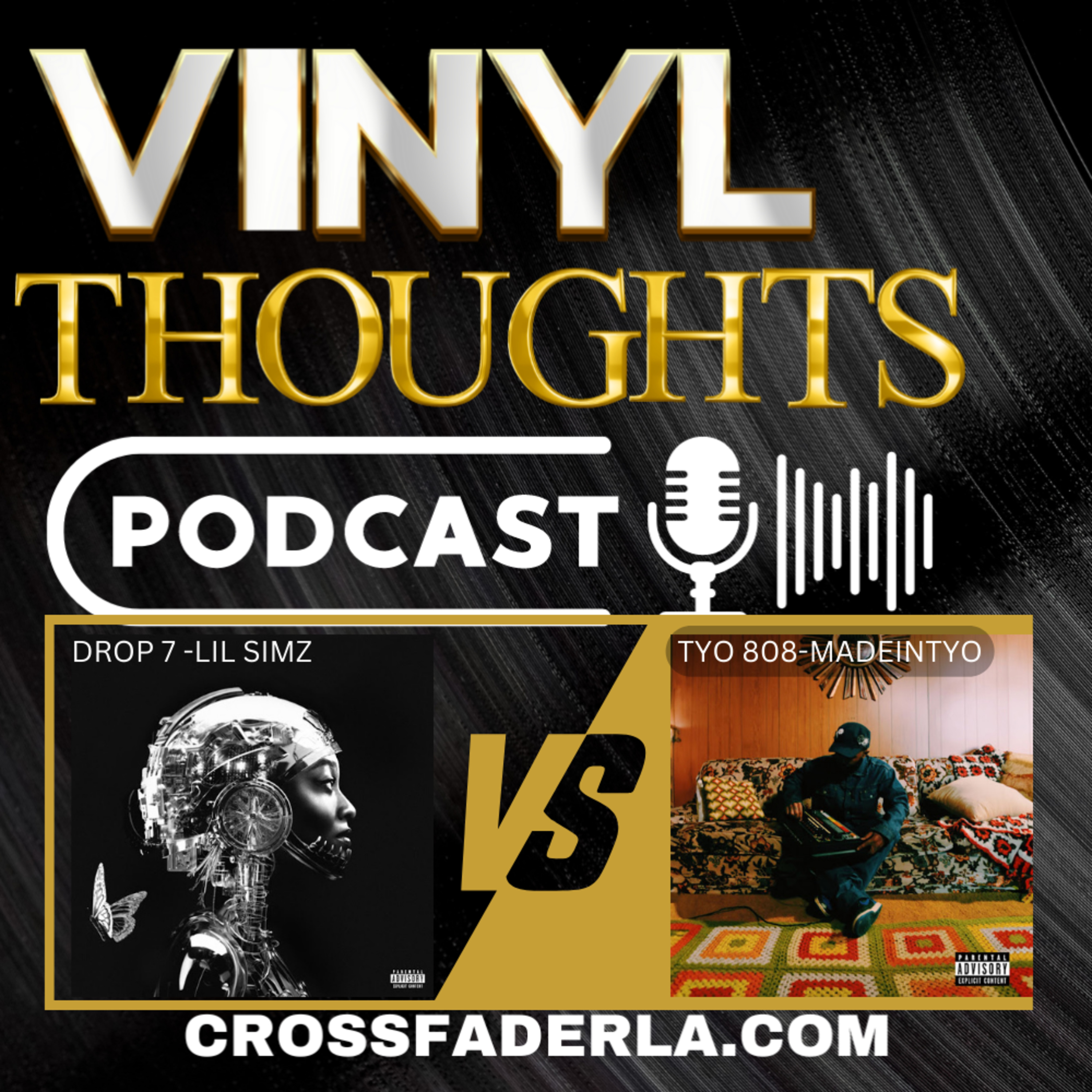 Vinyl Thoughts Podcast