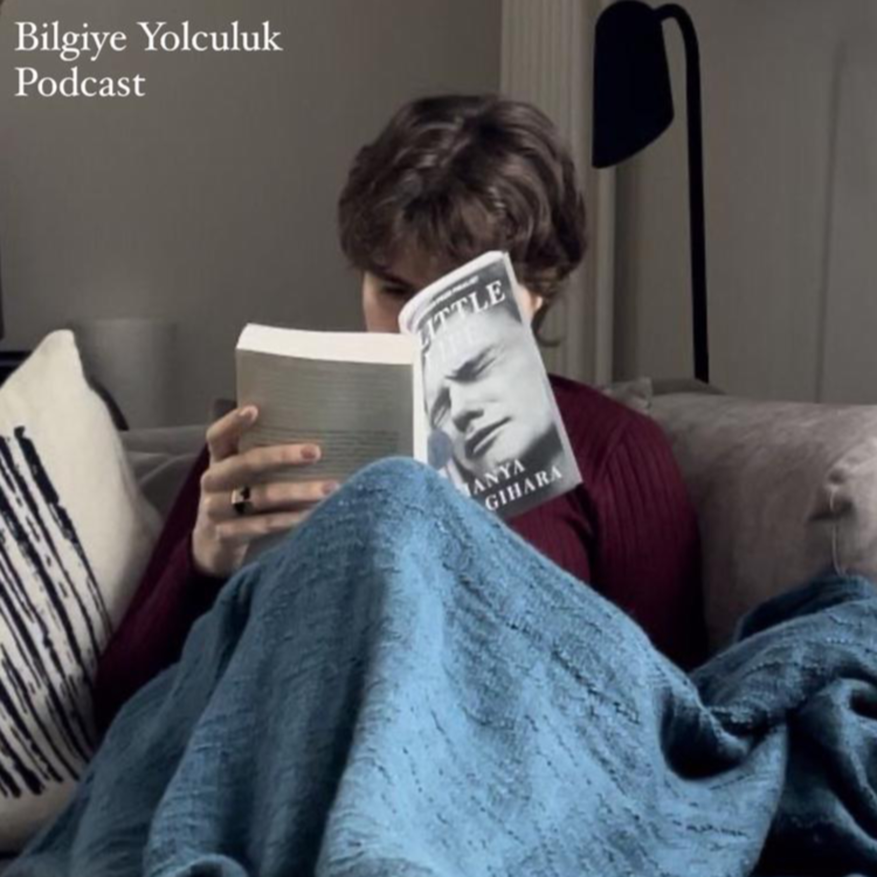 Ağır bir duygusal hikaye Değersiz bir hayat -a litle life- episode artwork