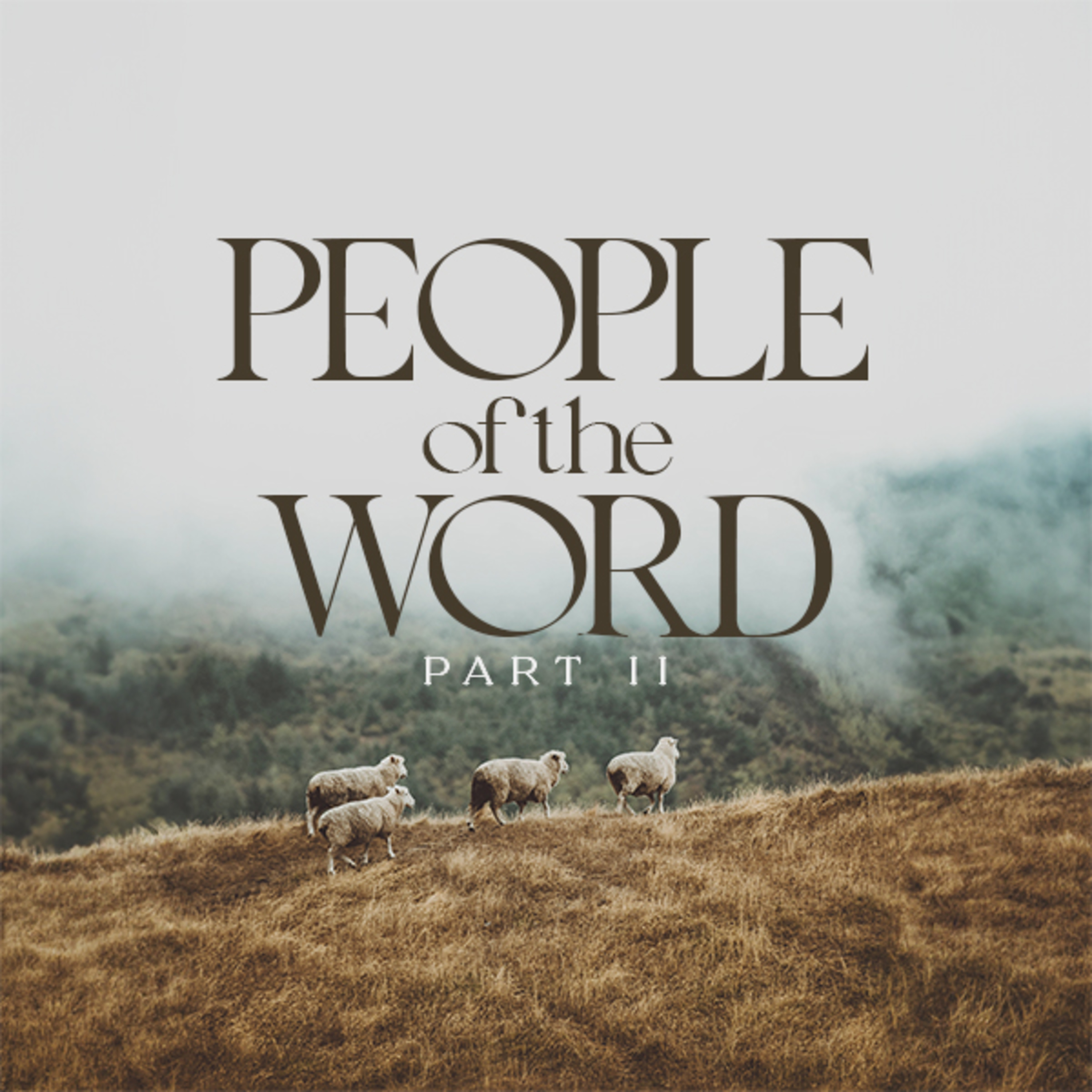 People of the Word II episode artwork