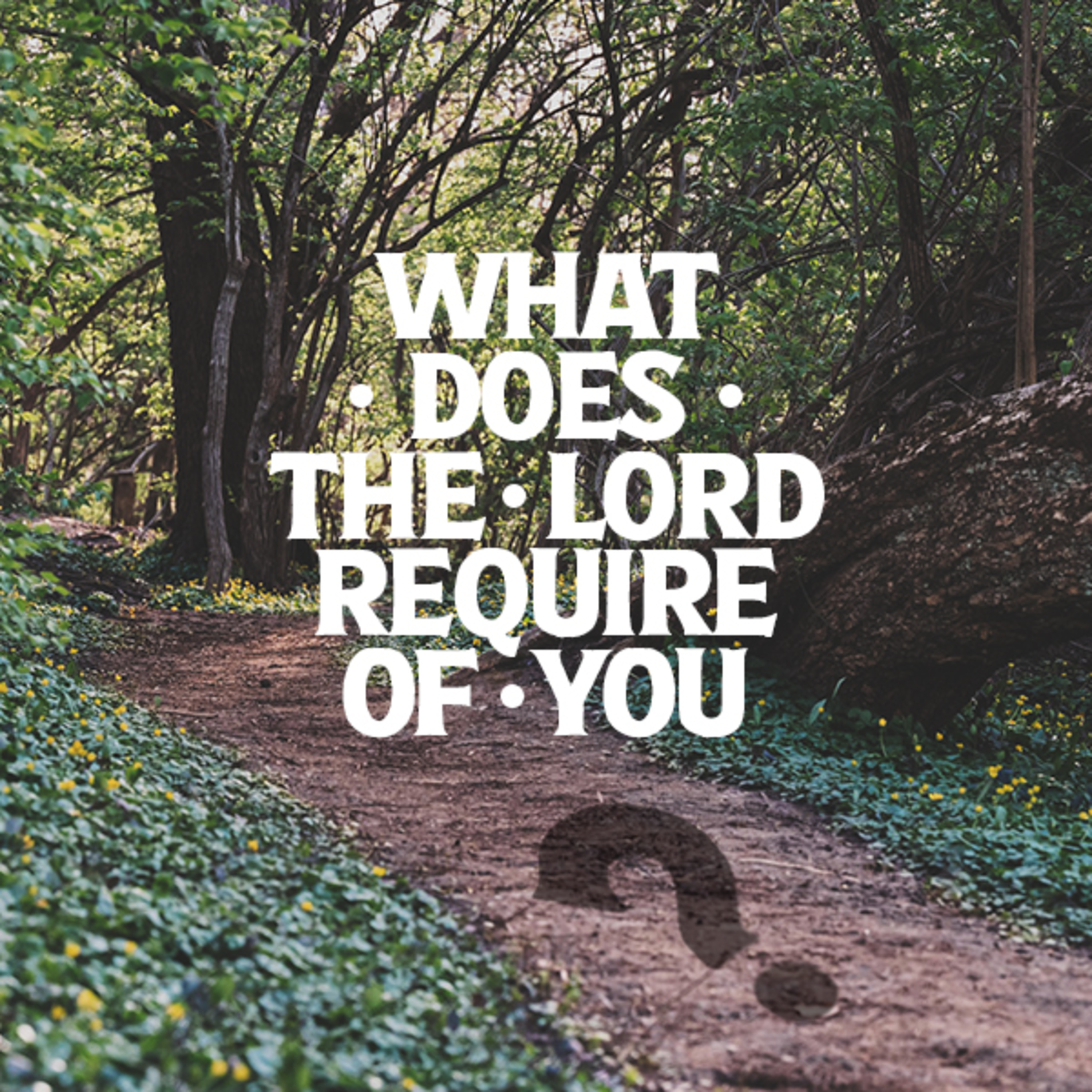 What Does the Lord Require of You? episode artwork