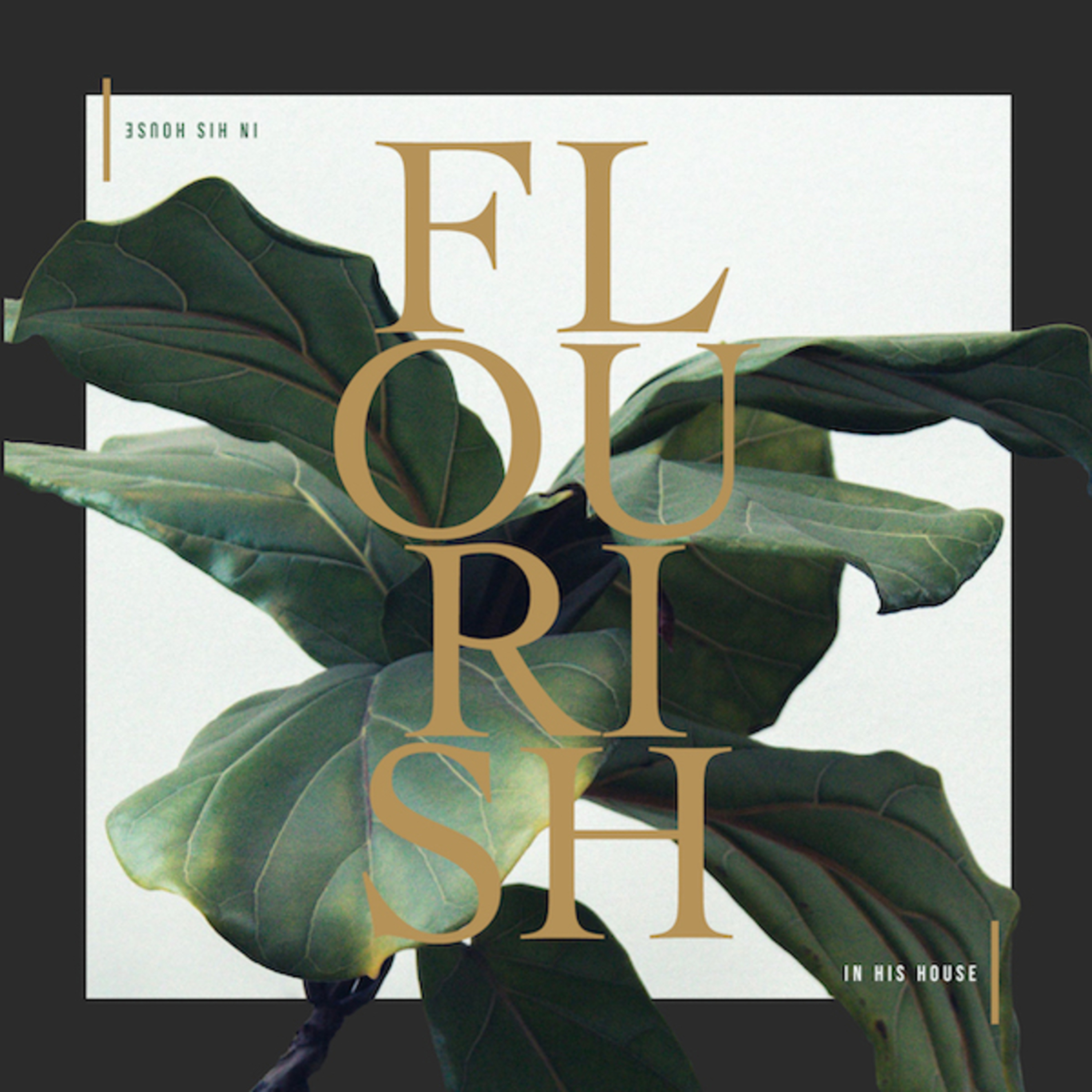 Flourish in His House episode artwork