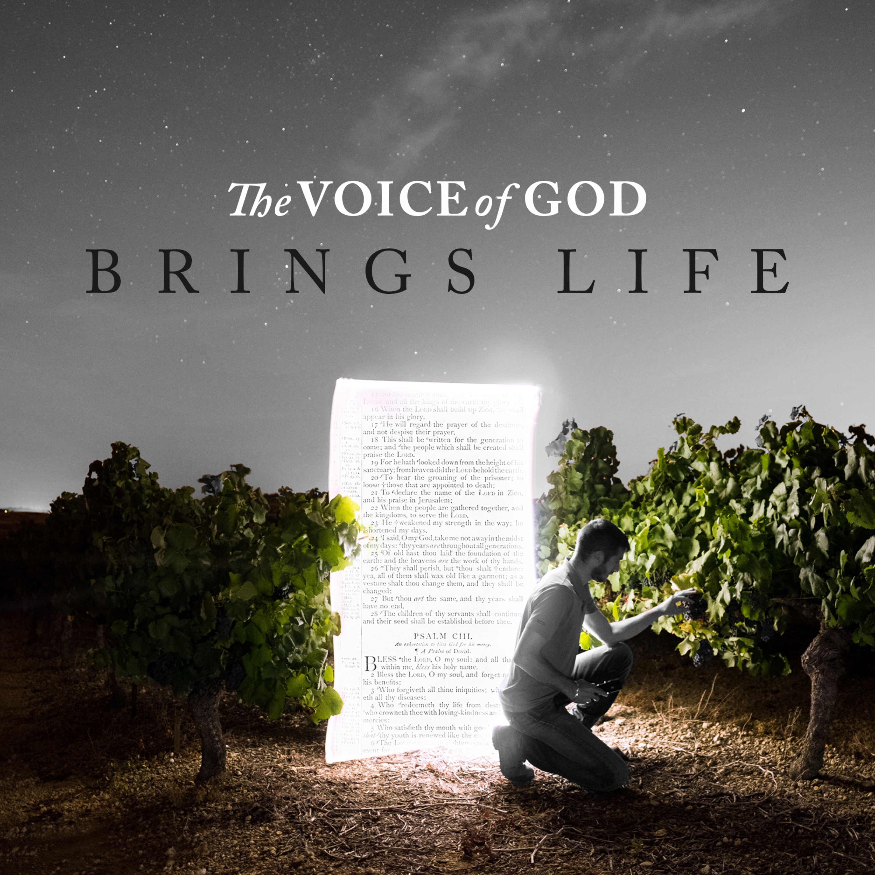 The Voice of God Brings Life episode artwork