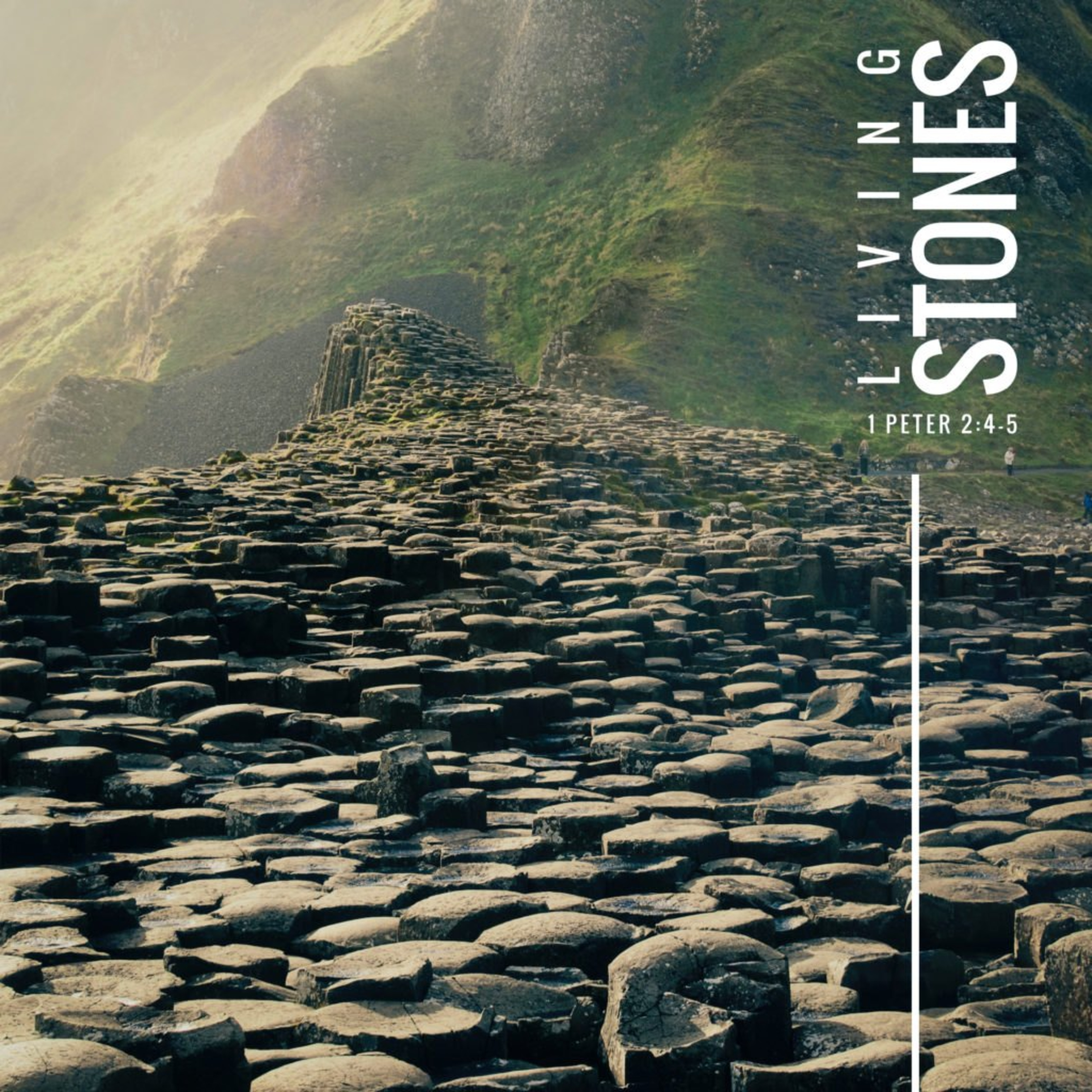 Living Stones episode artwork