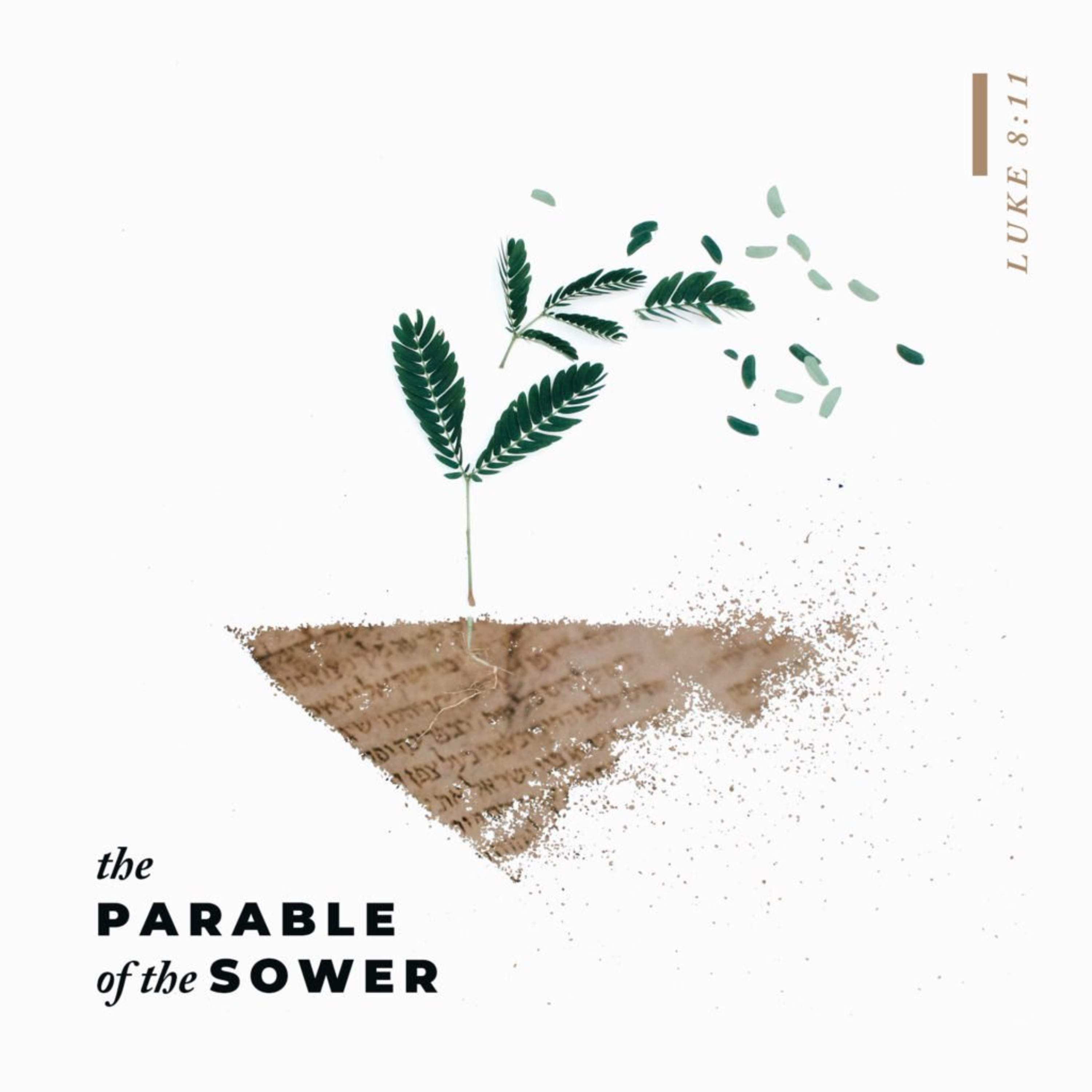 The Parable of the Sower - Pt. 4 episode artwork