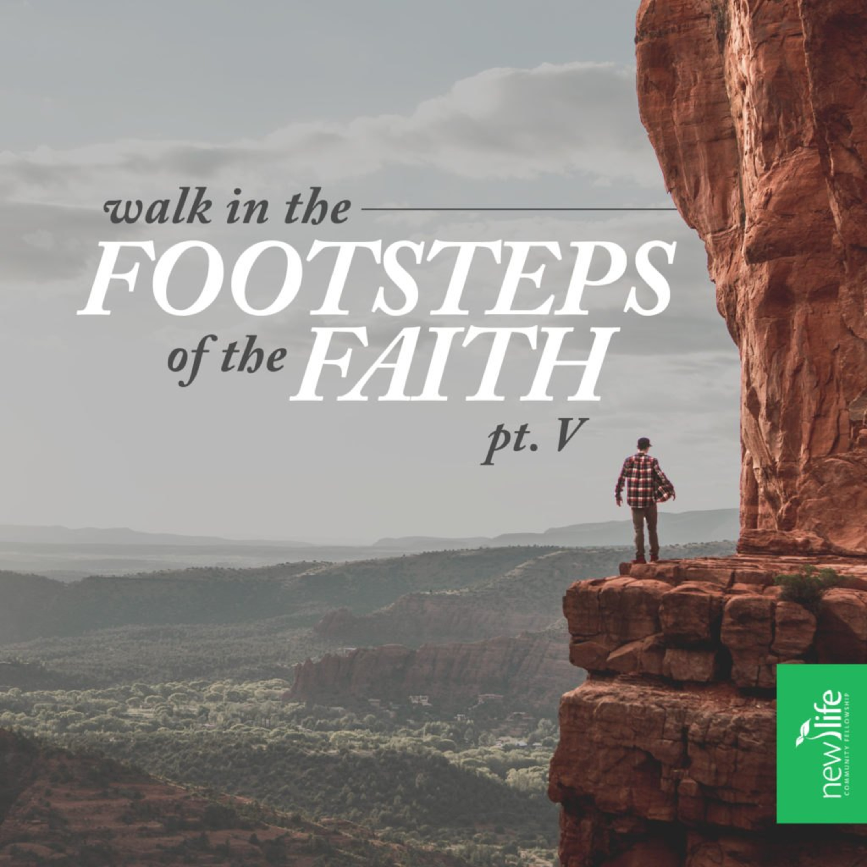 Footsteps of the Faith - Pt. 5 episode artwork