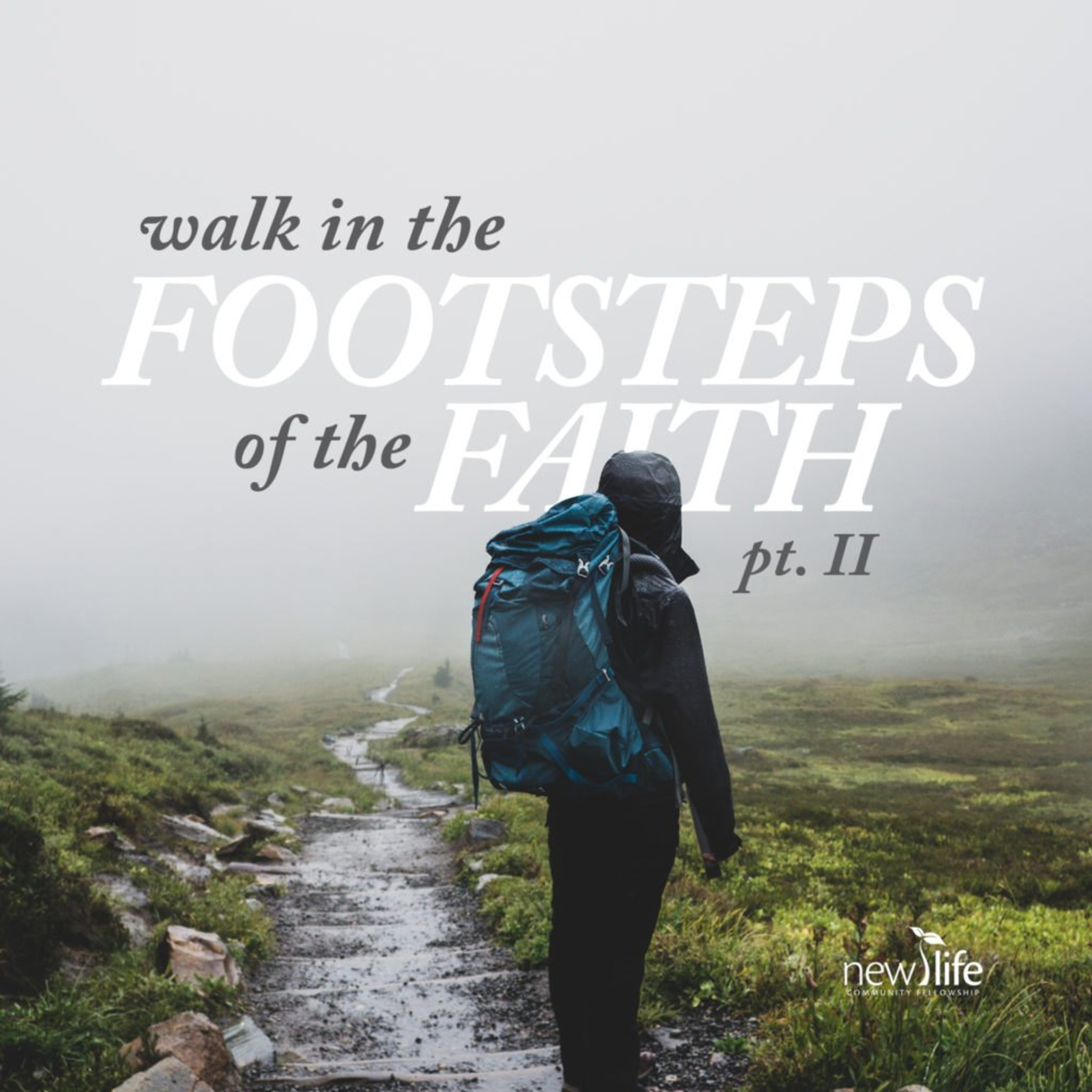 Footsteps of the Faith - Pt. 2 episode artwork