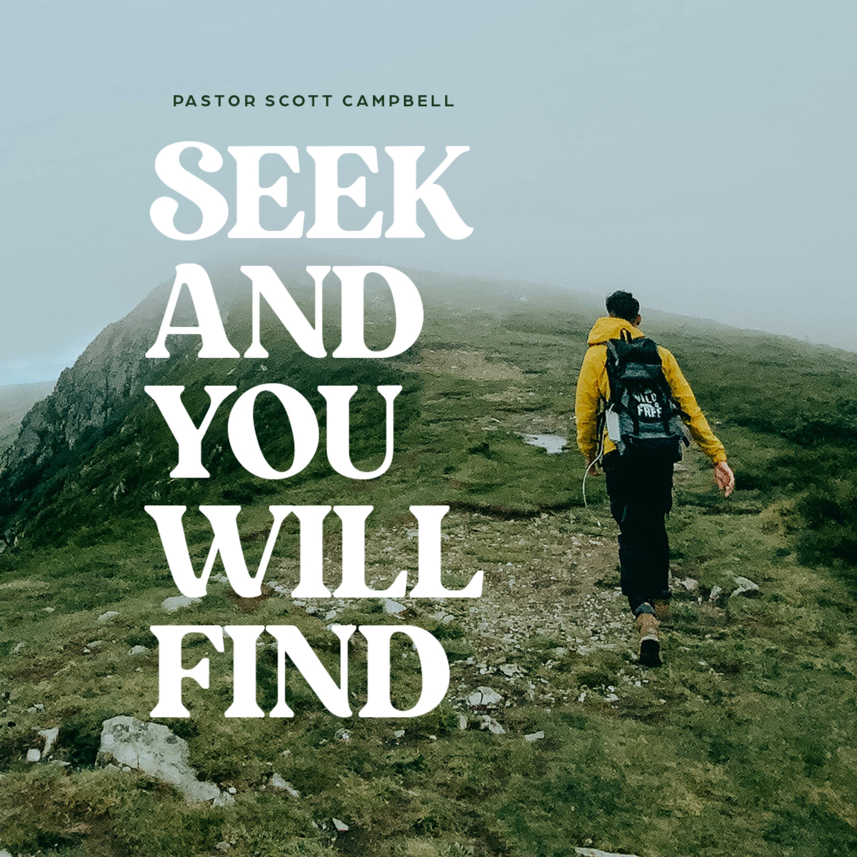 Seek and You Will Find