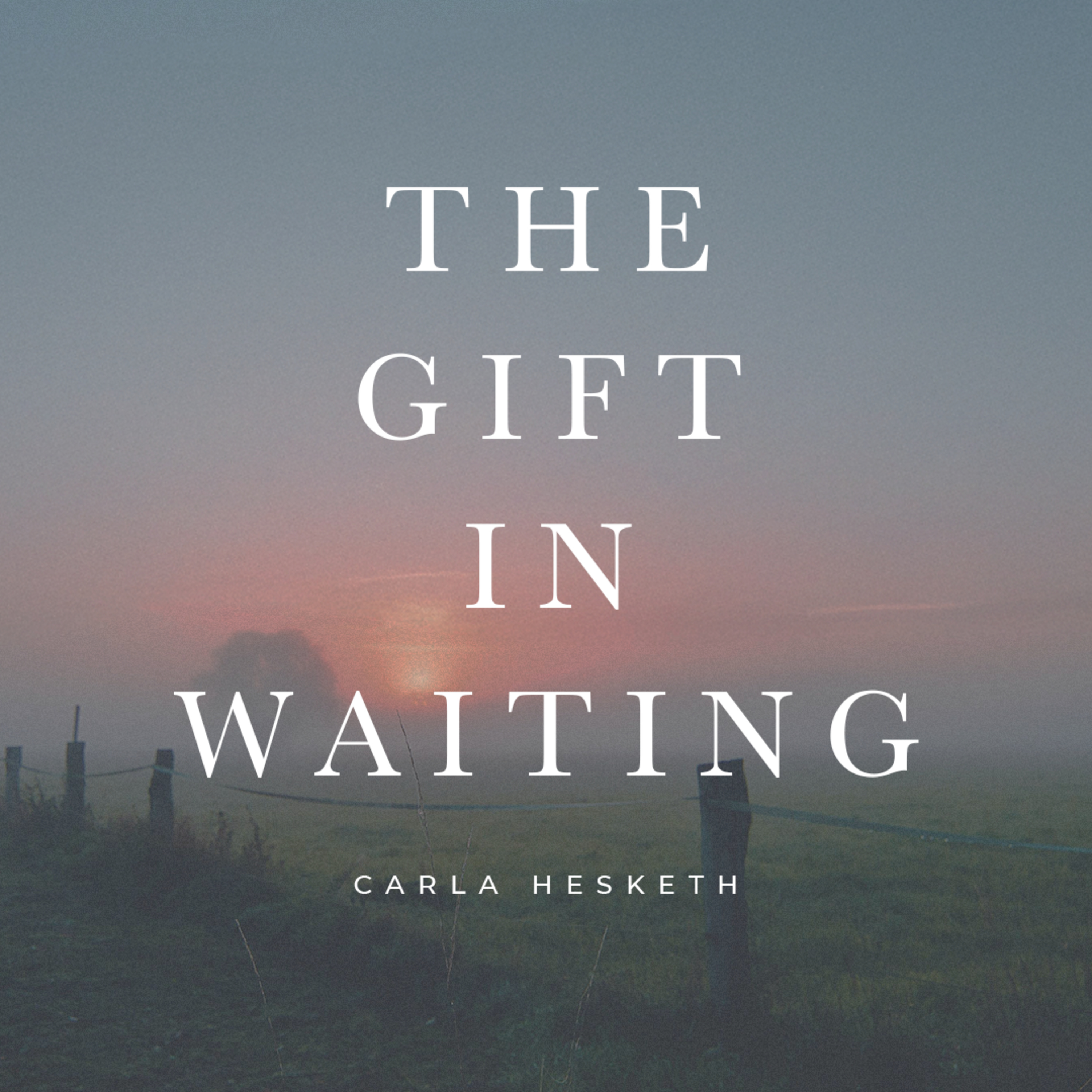The Gift in Waiting episode artwork