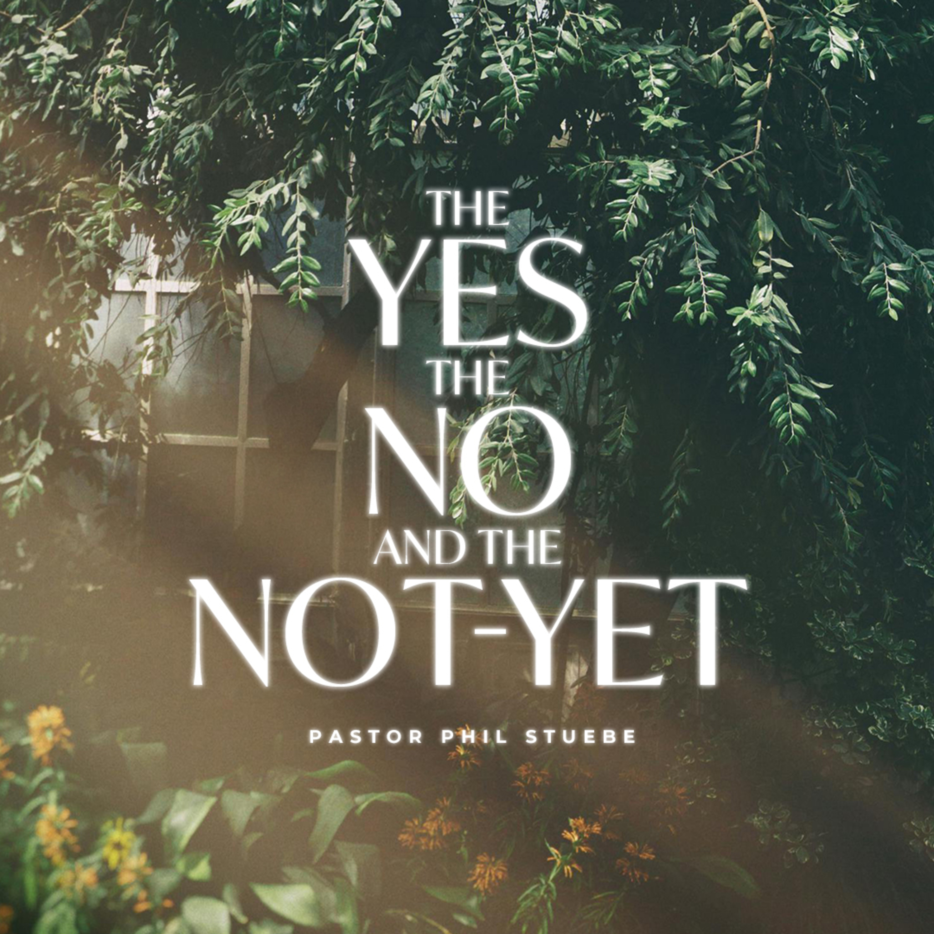 The Yes, The No & The Not-Yet episode artwork