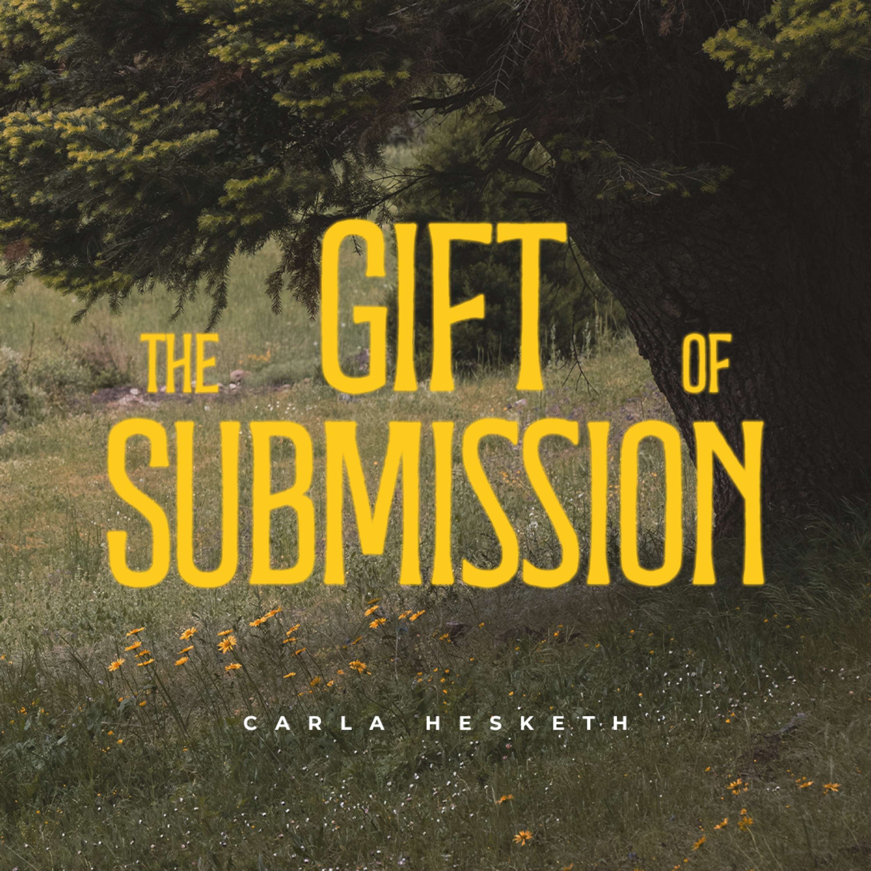 The Gift of Submission episode artwork