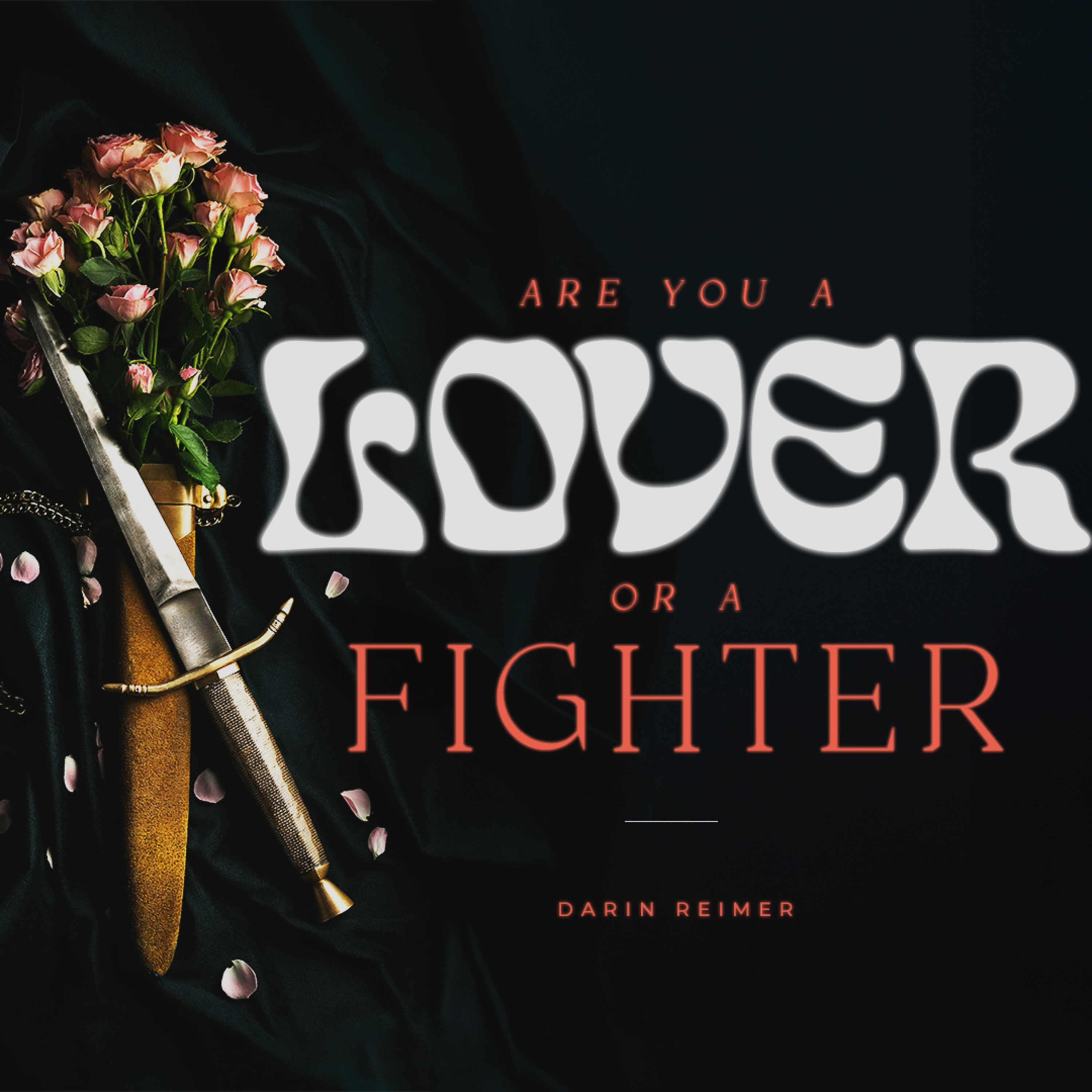 Are You a Lover or a Fighter episode artwork