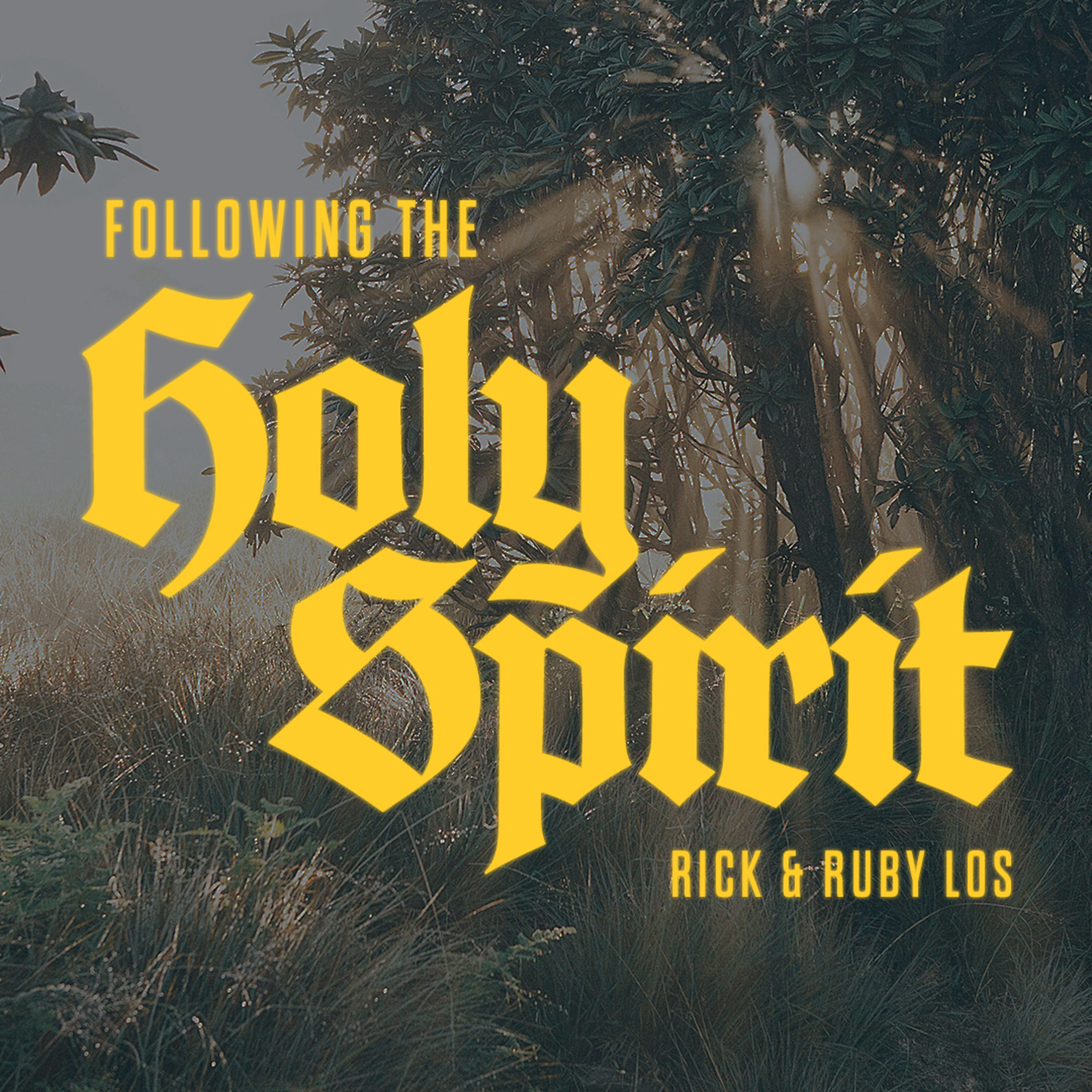 Following the Holy Spirit