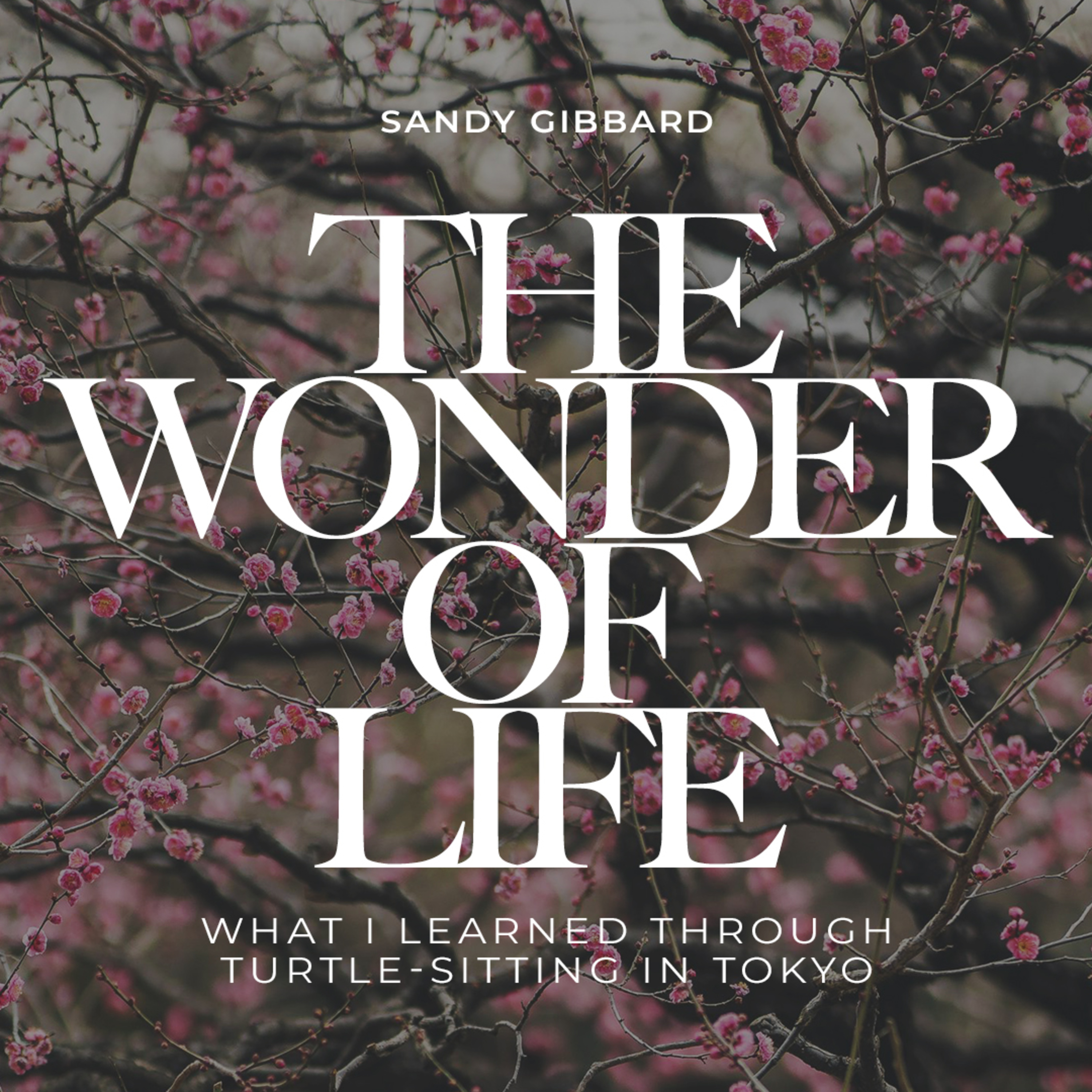 The Wonder of Life episode artwork