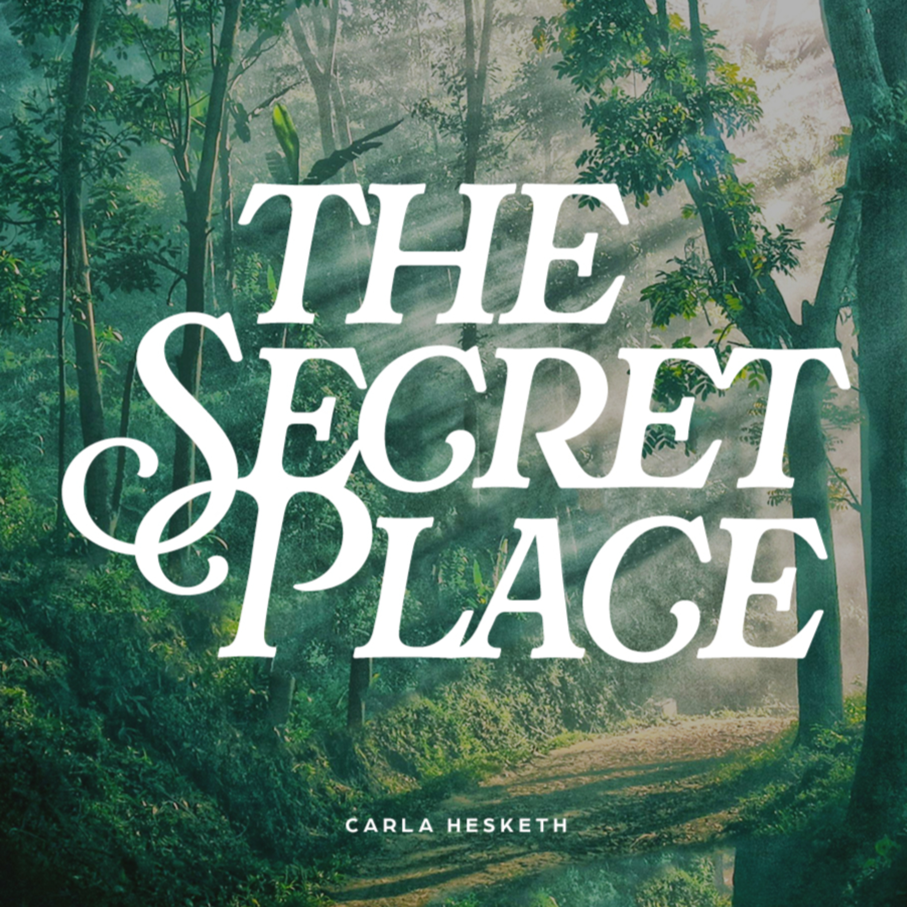 The Secret Place episode artwork