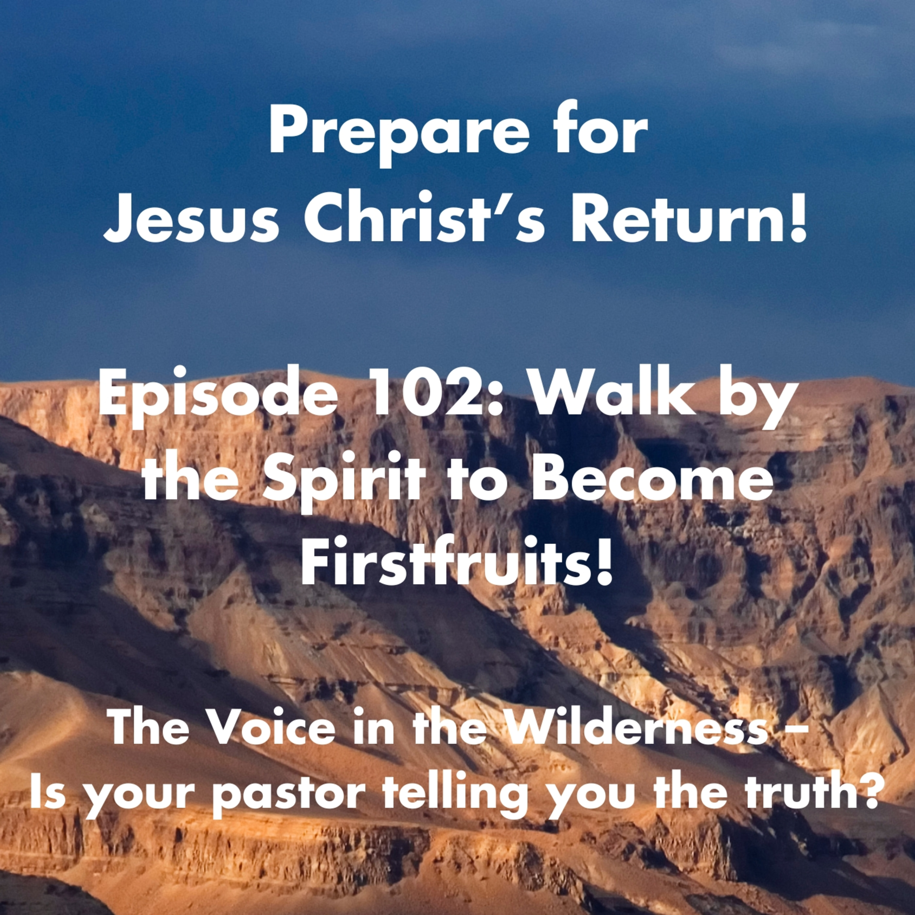 Walk by the Spirit to Become Firstfruits! episode artwork