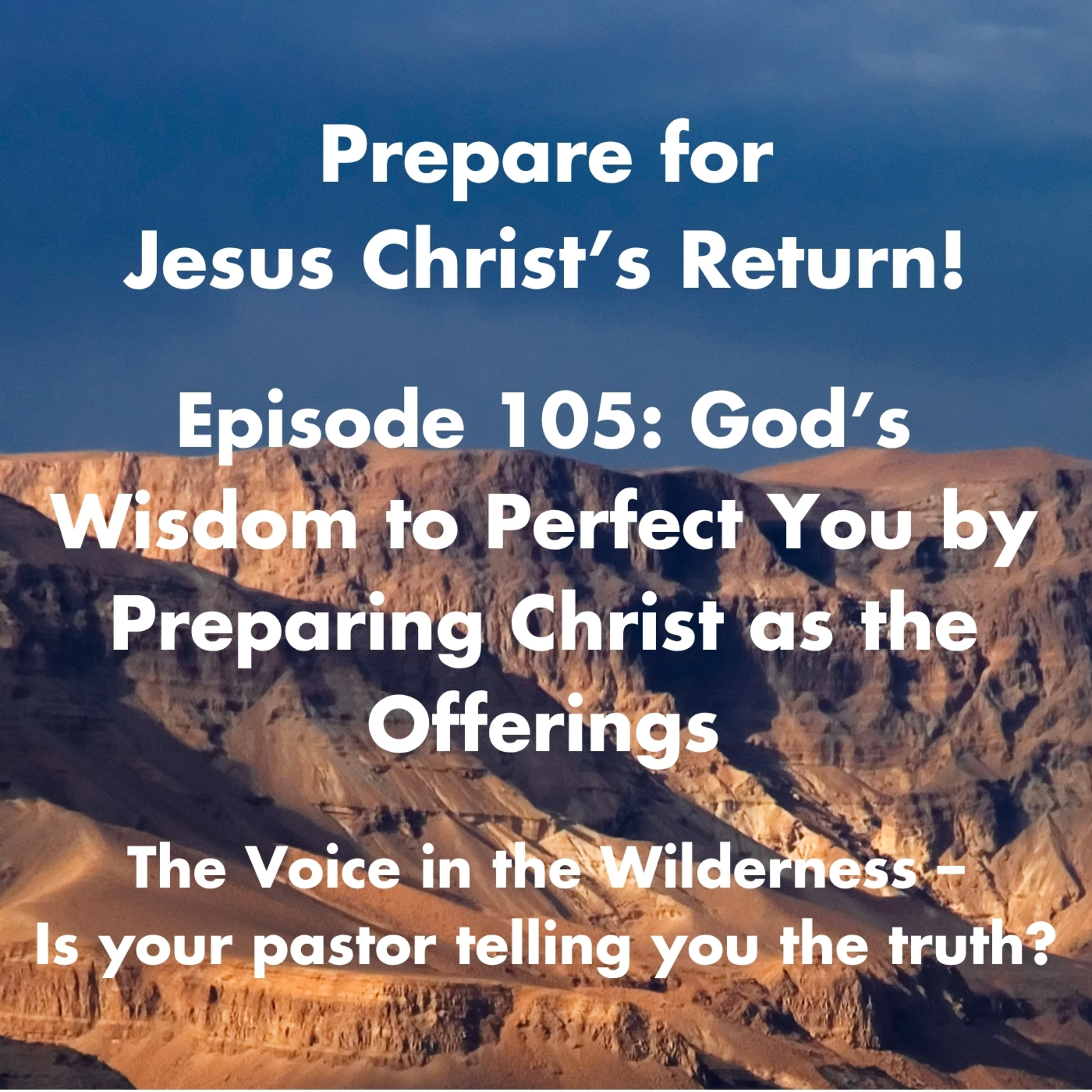 God’s Wisdom to Perfect You Through the Offerings of Christ episode artwork