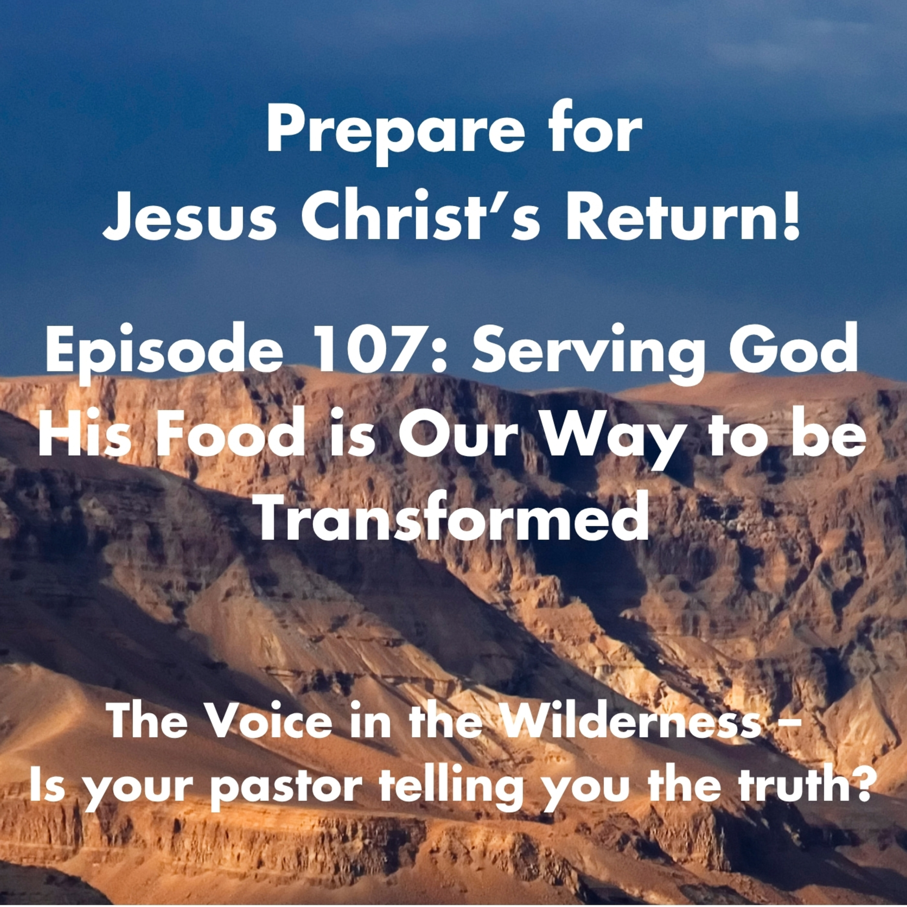 Serving God His Food is Our Way to be Transformed episode artwork