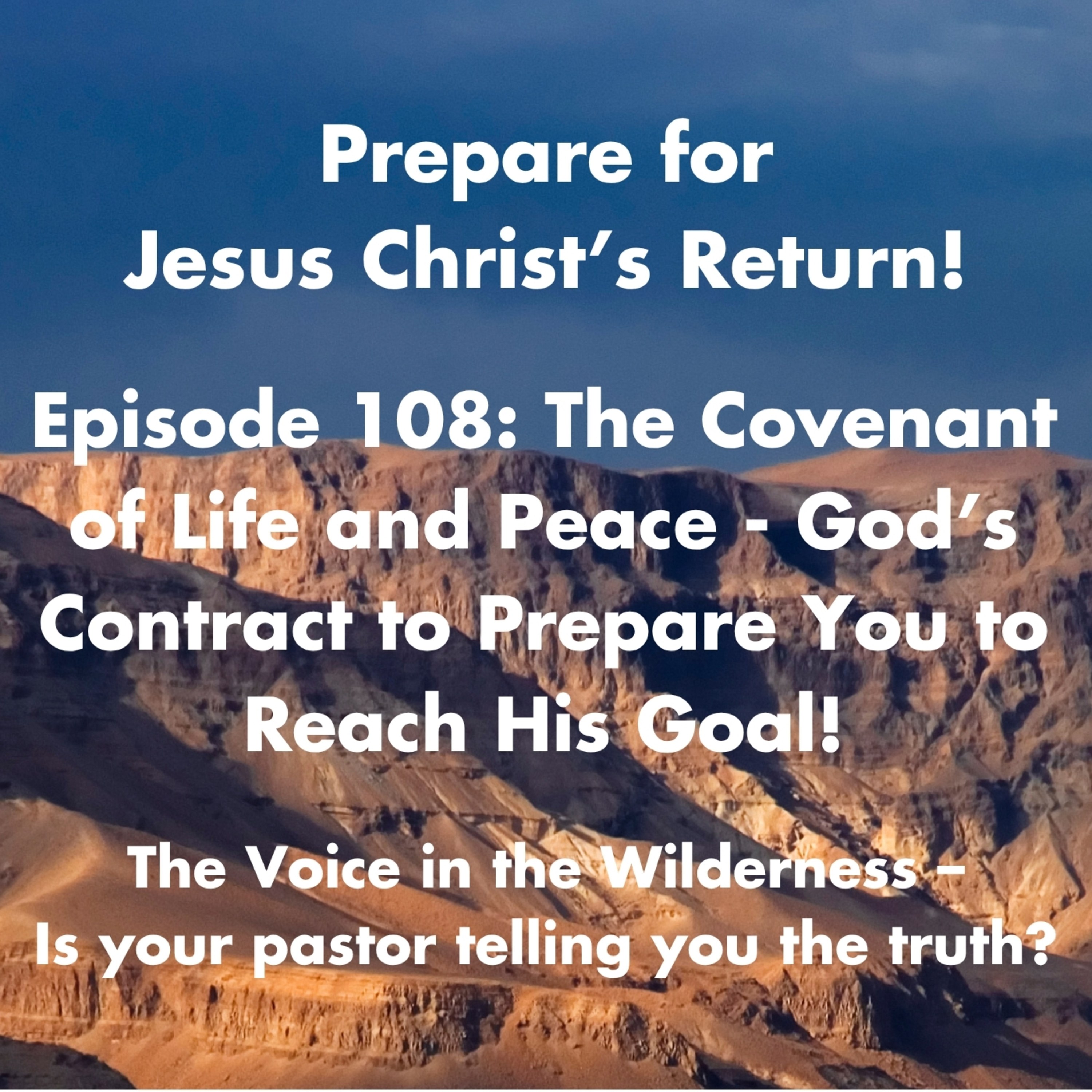 The Covenant of Life and Peace - God’s Contract to Prepare You to Reach His Goal! episode artwork