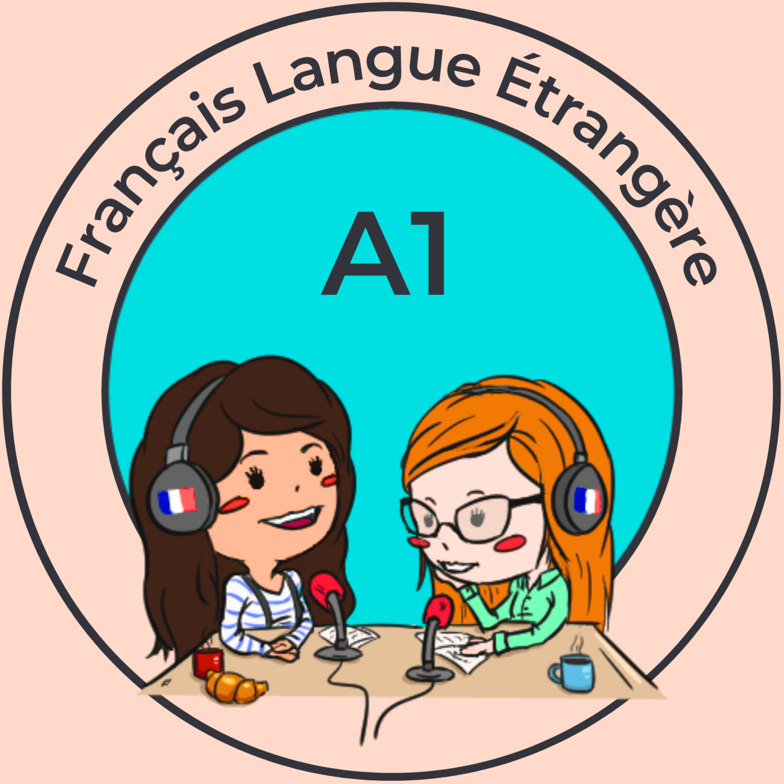 Épisode #101 - Les cahiers de vacances (A1) episode artwork