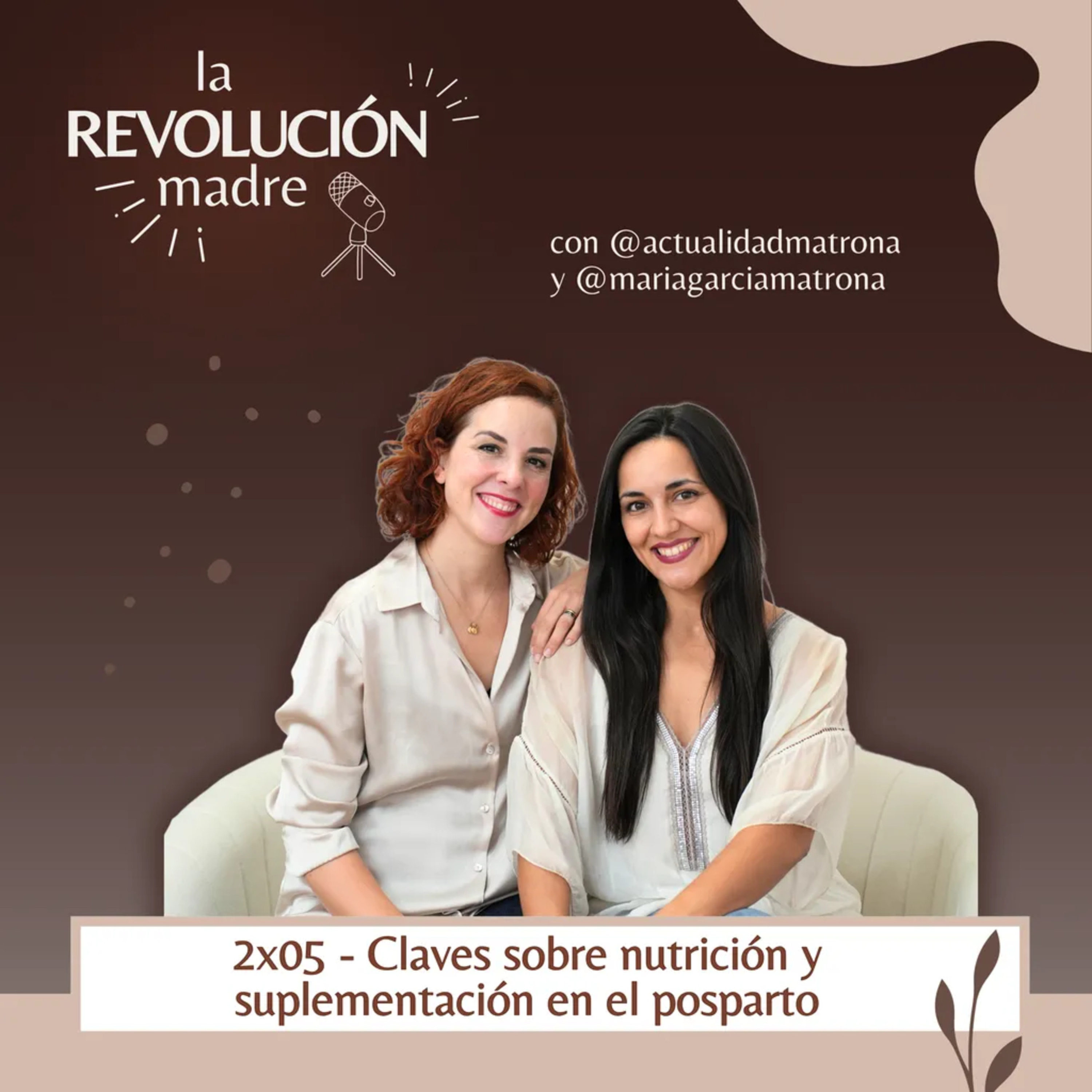 2x5 Claves sobre nutrición y suplementación en el posparto