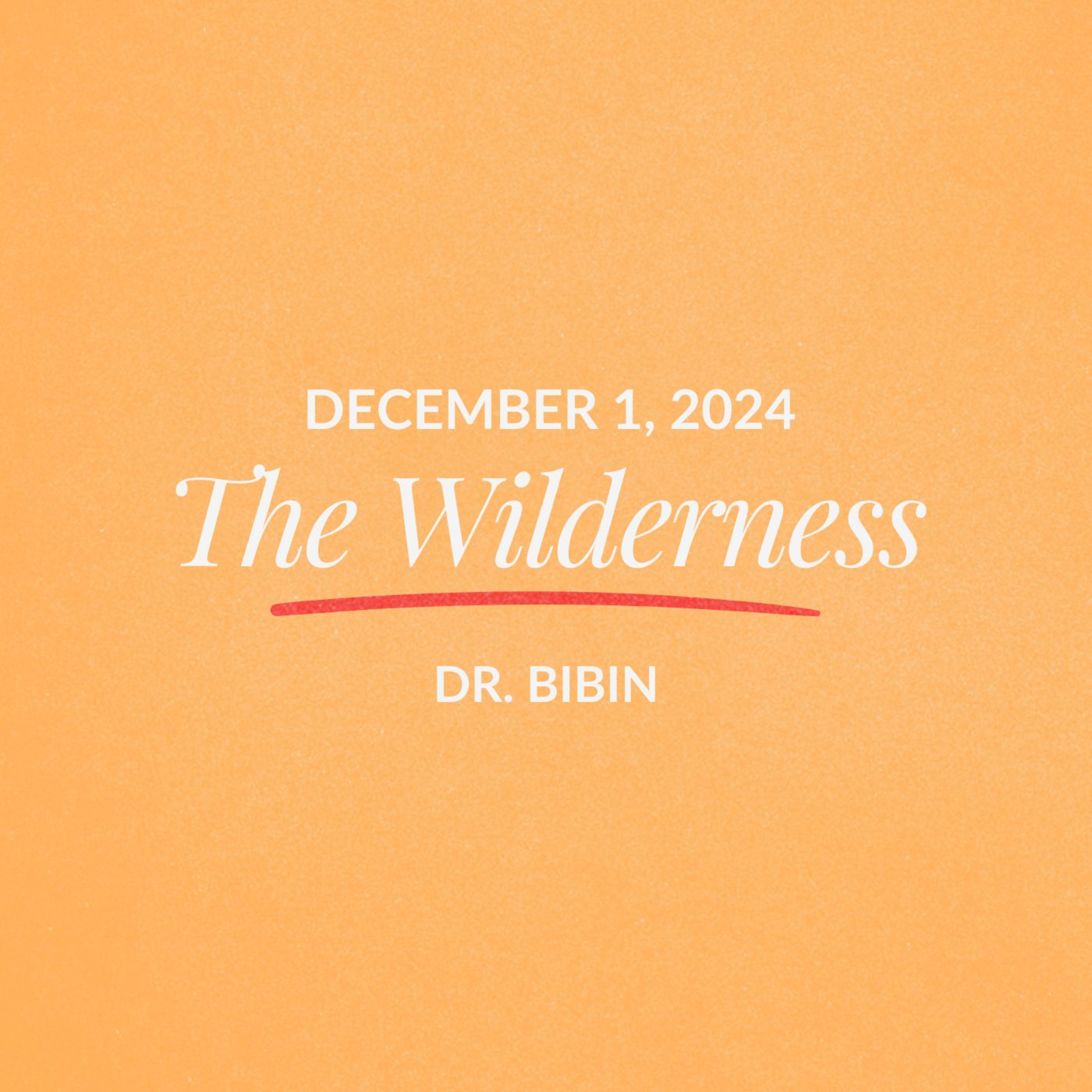 The Wilderness | Dr. Bibin | December 01, 2024 episode artwork