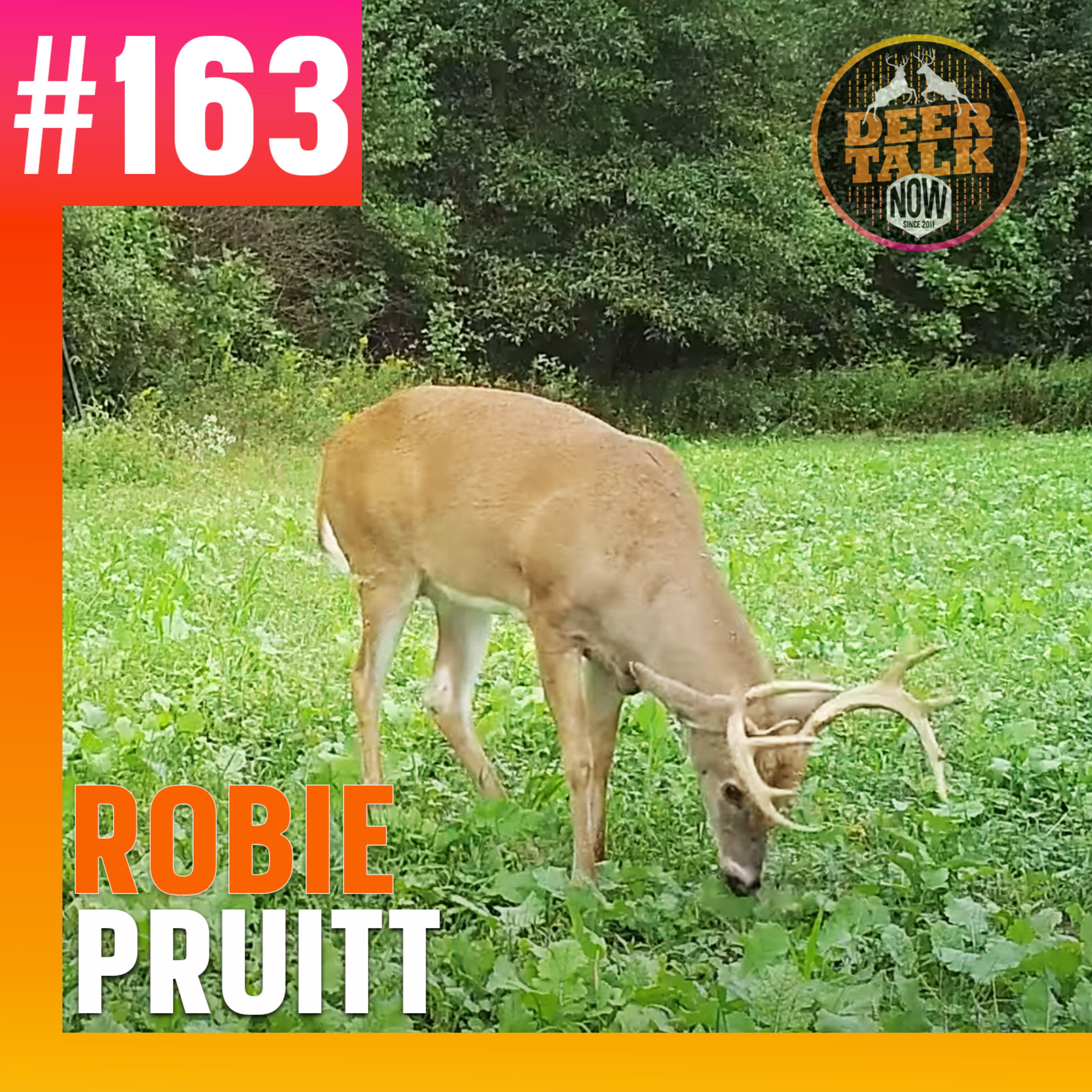 #163: COMMON FOOD PLOT MISTAKES with Robie Pruitt