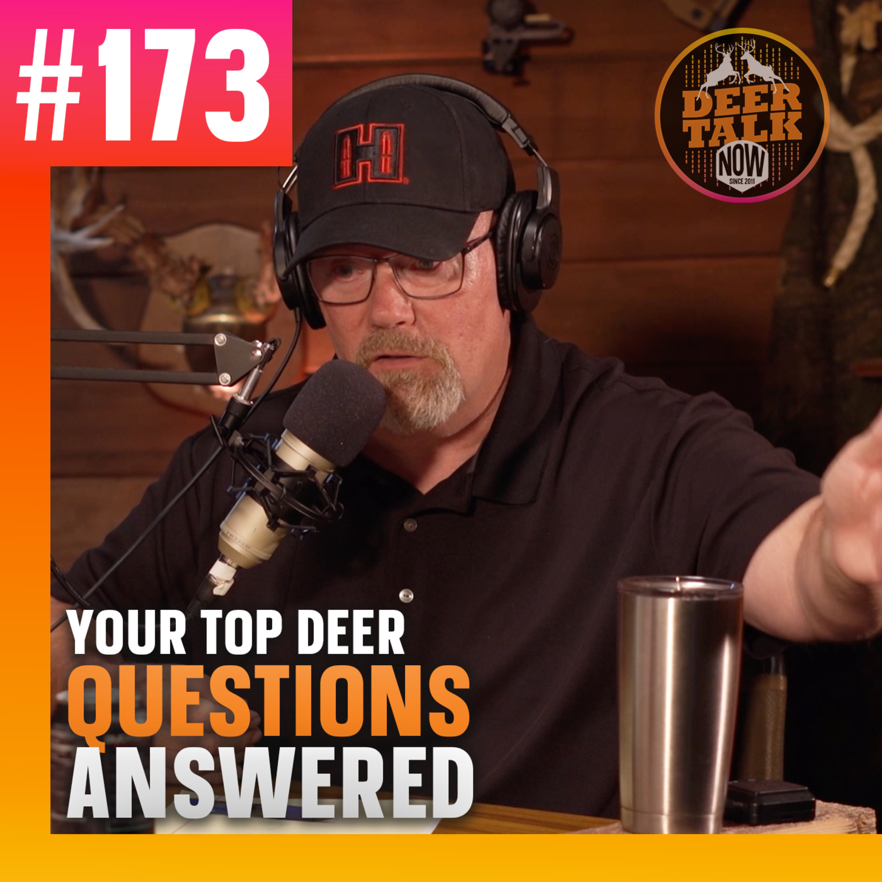 #173: YOUR TOP DEER QUESTIONS ANSWERED