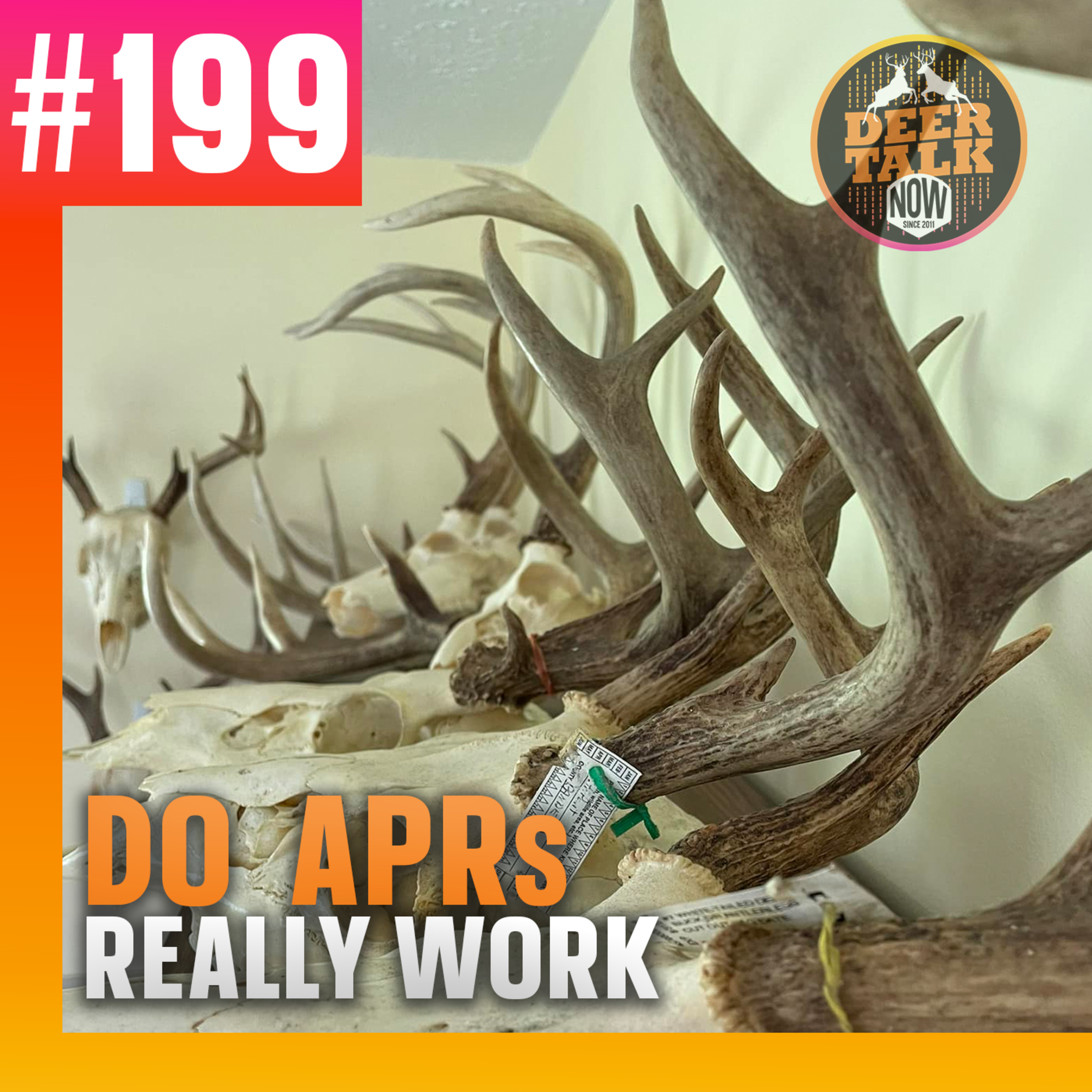 #199: DO APRs REALLY WORK with Steve Sorensen episode artwork
