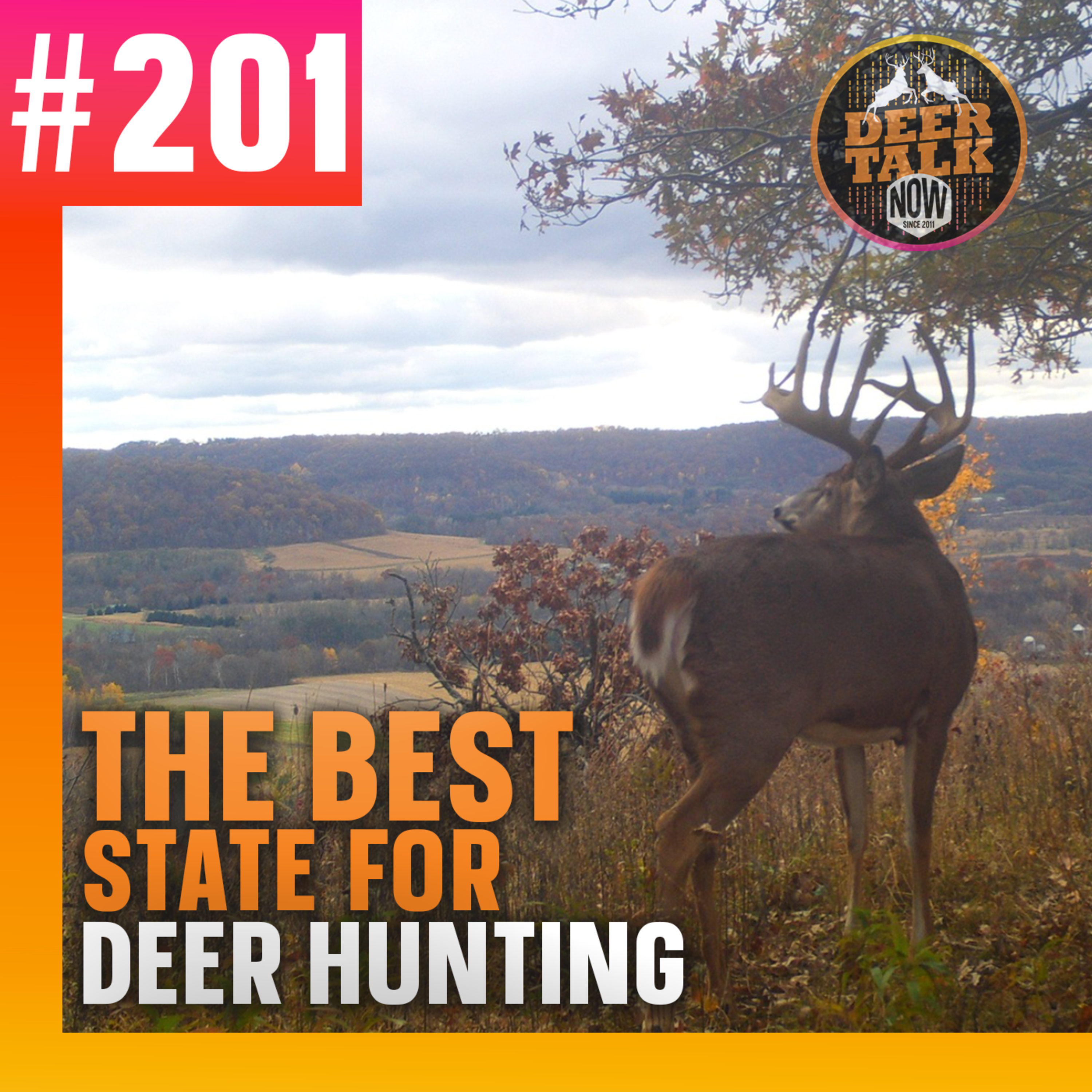 #201: THE BEST STATE FOR DEER HUNTING with Ted Marum episode artwork