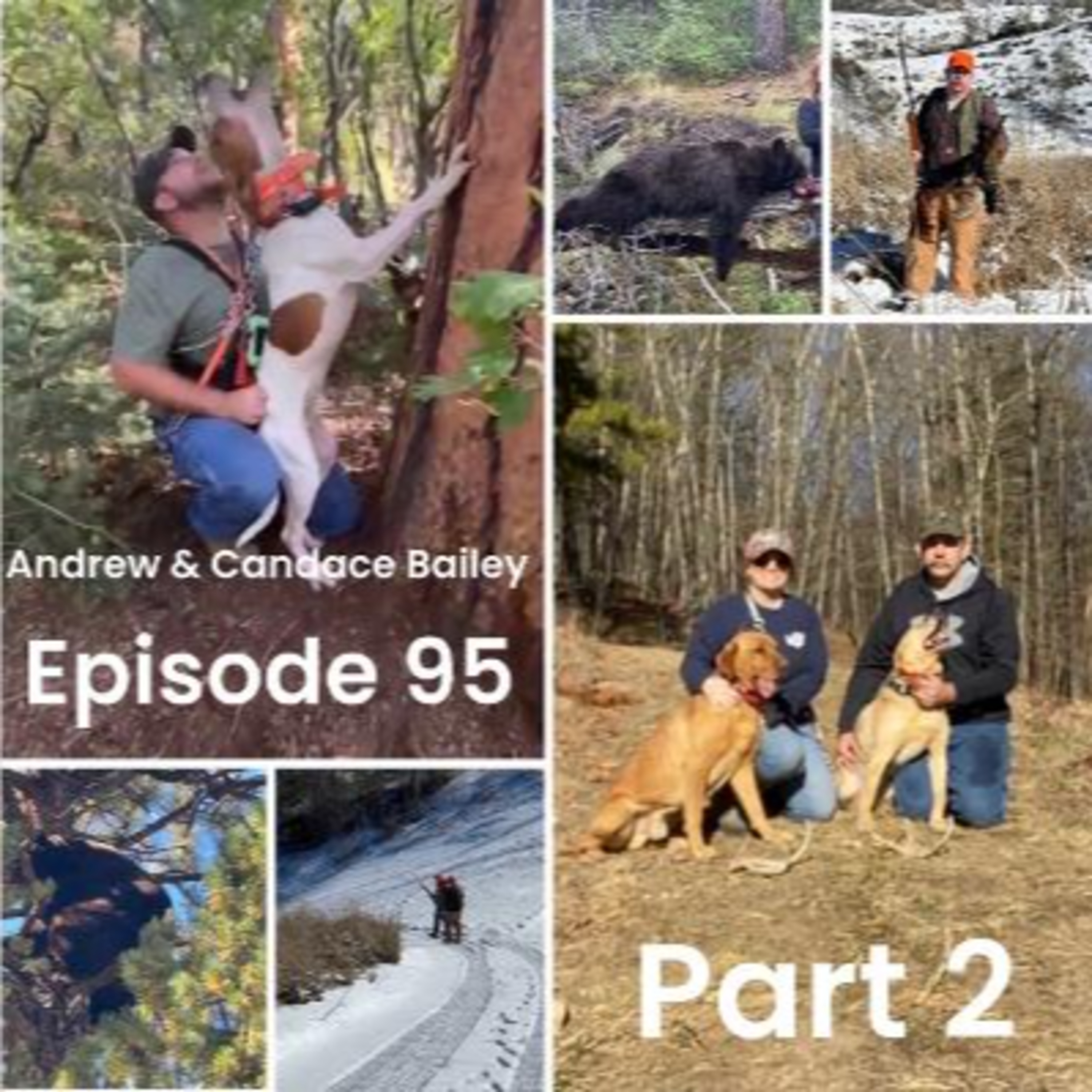 Average Joe\'s Hunting Podcast