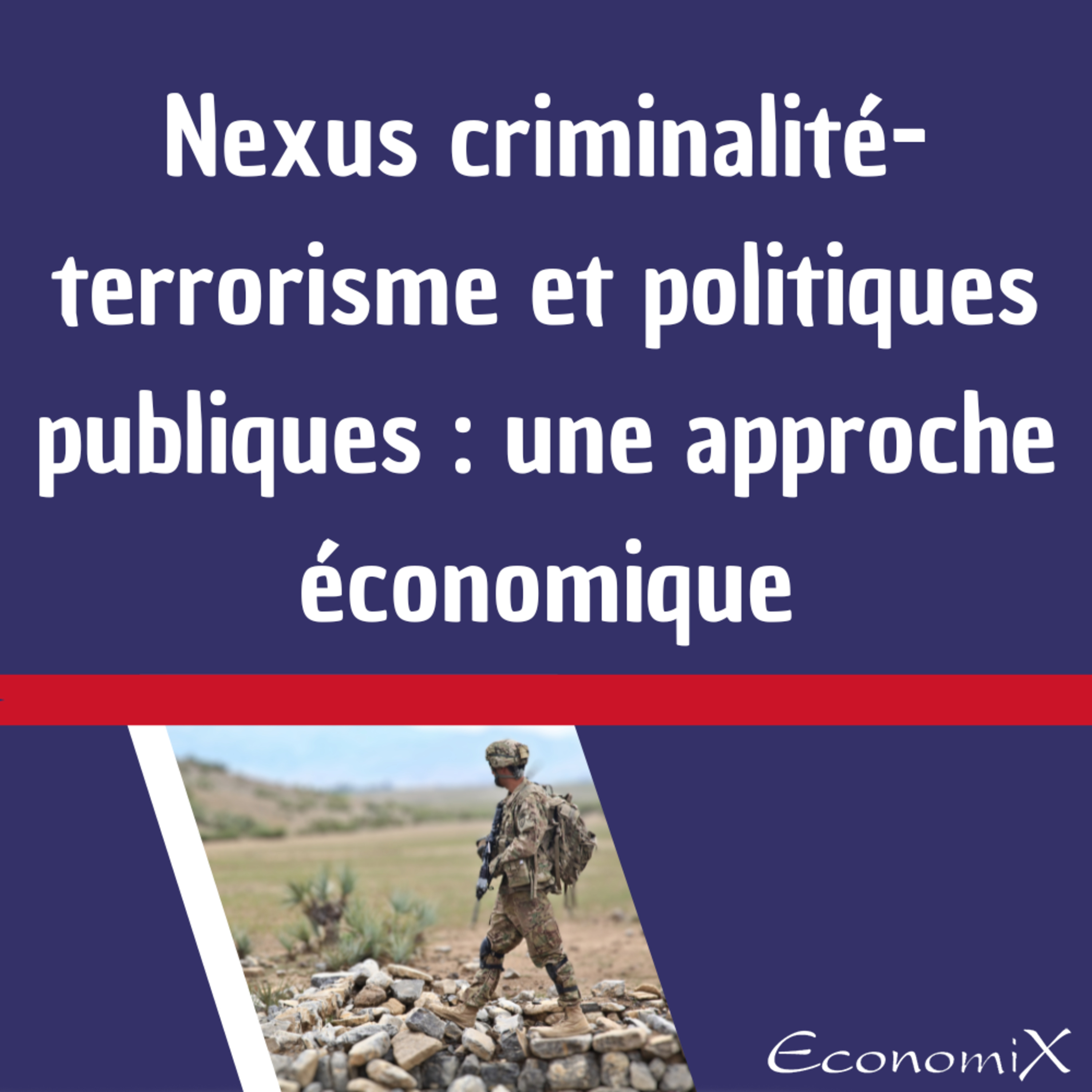 Nexus criminalité-terrorisme et politiques publiques : une approche économique episode artwork